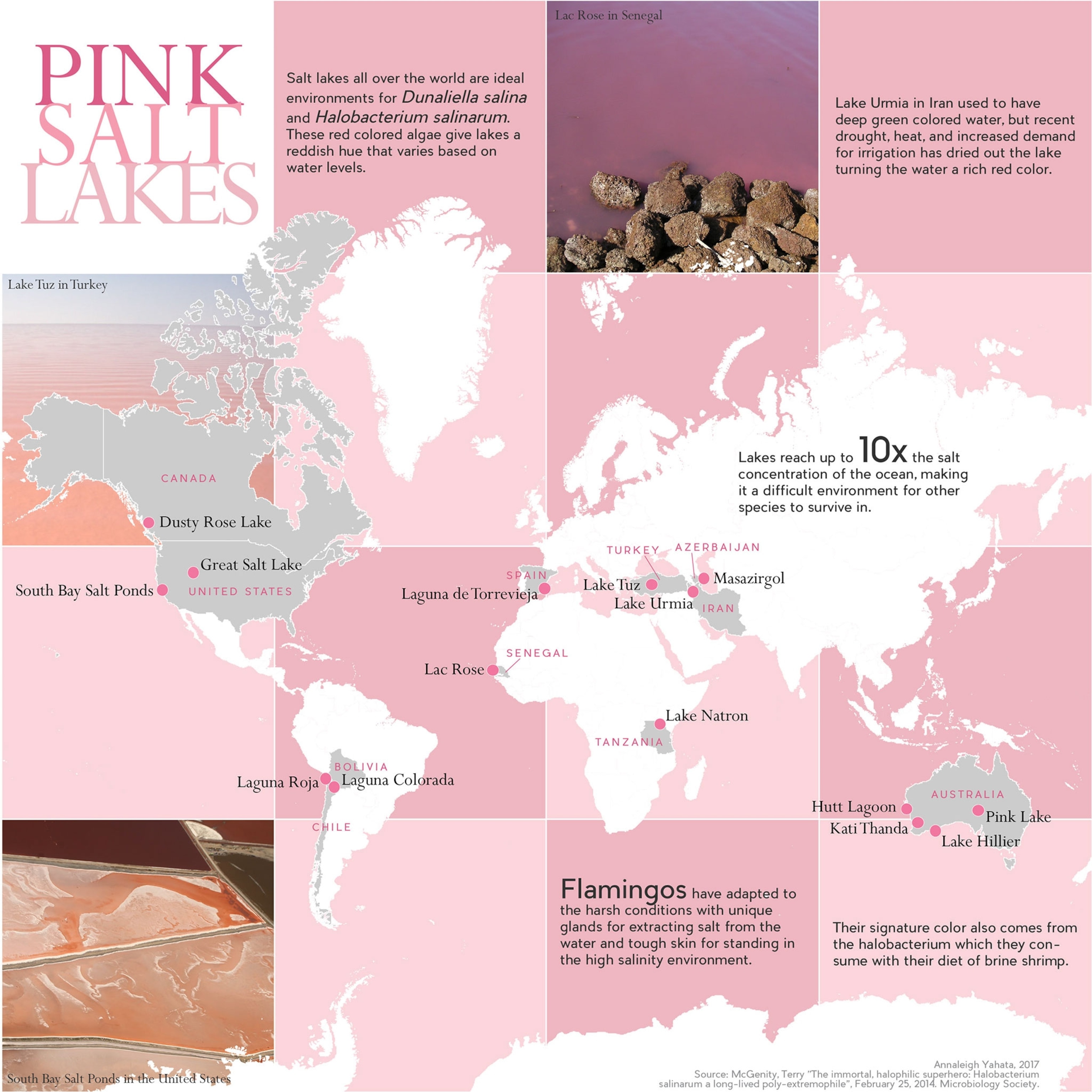 a map of the pink salt lakes