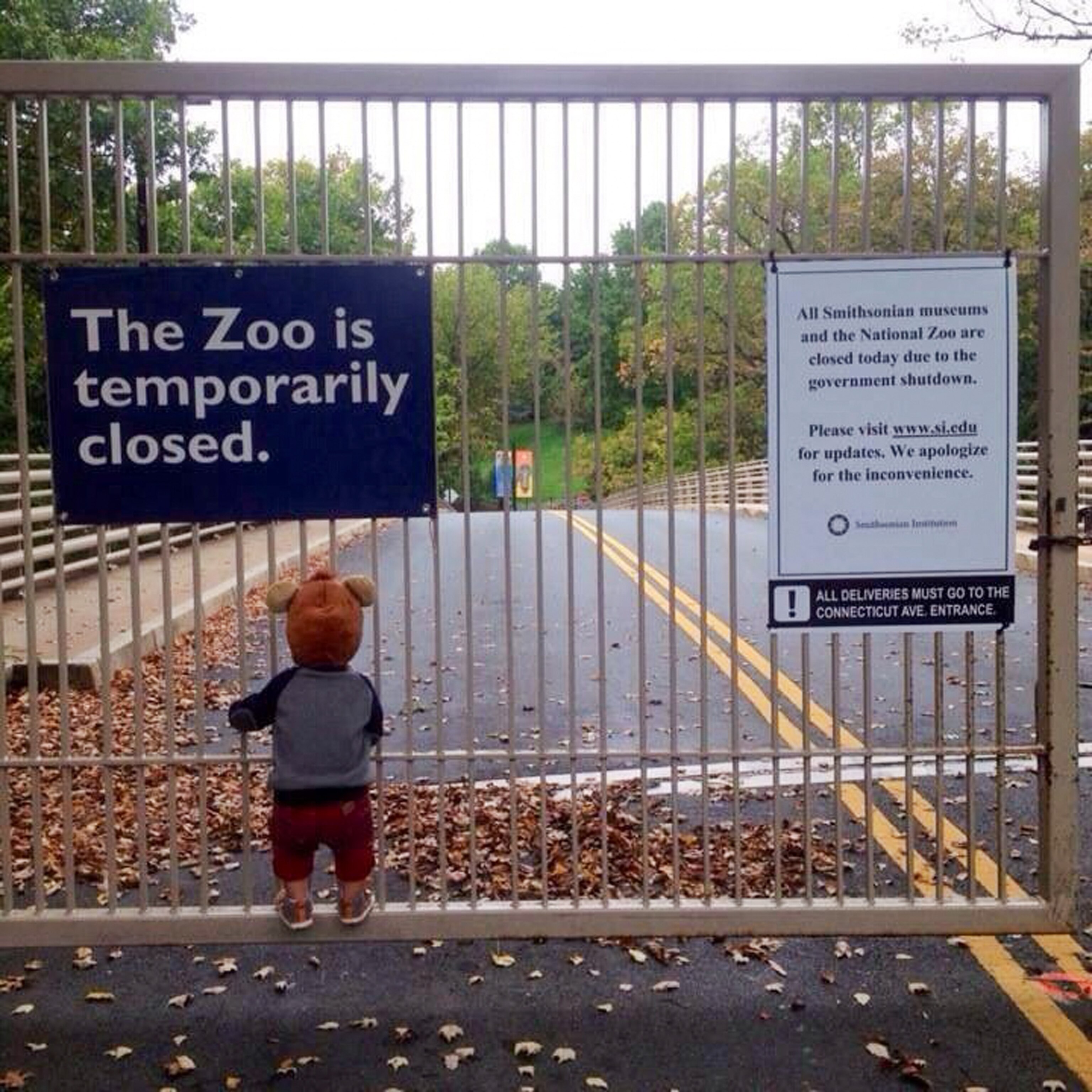 a child standing outside the closed Smithsonian National Zoo during the government shutdown
