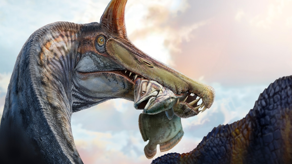 This odd-looking new Spinosaurus is reviving an age-old debate