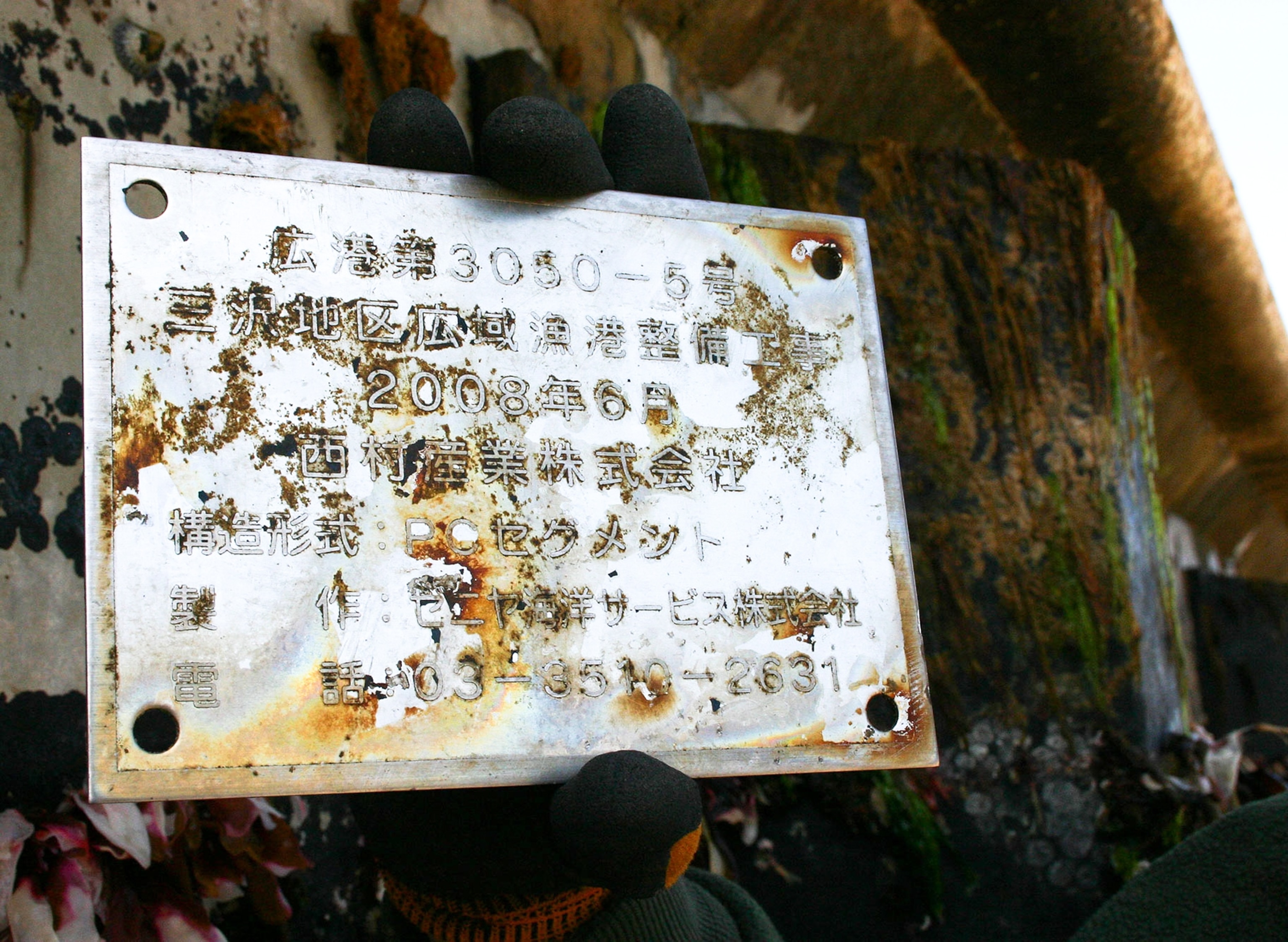 Japanese tsunami dock picture: structure on Oregon beach