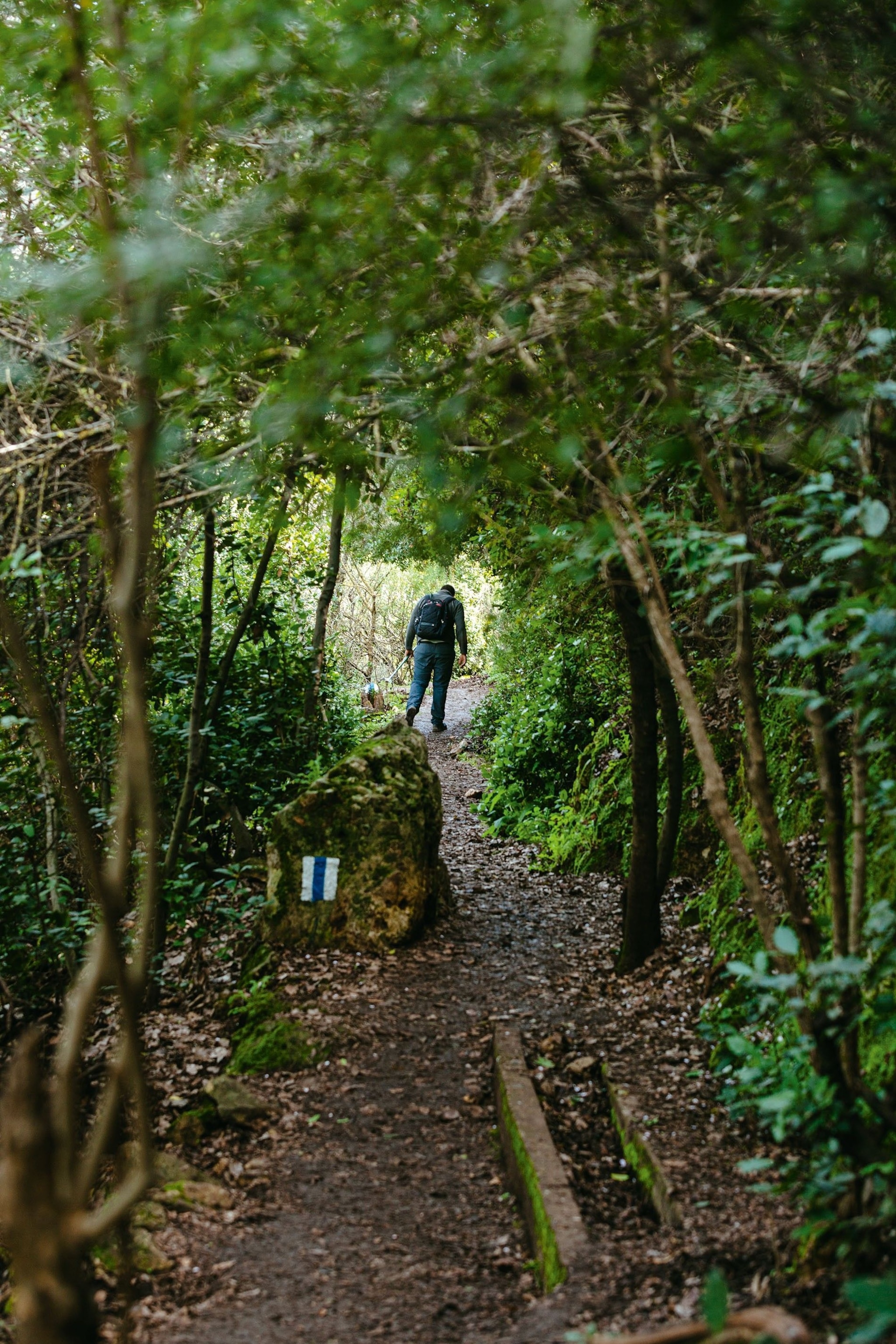 A hiker passes a trail marker, Upper Amud Stream Nature Reserve.