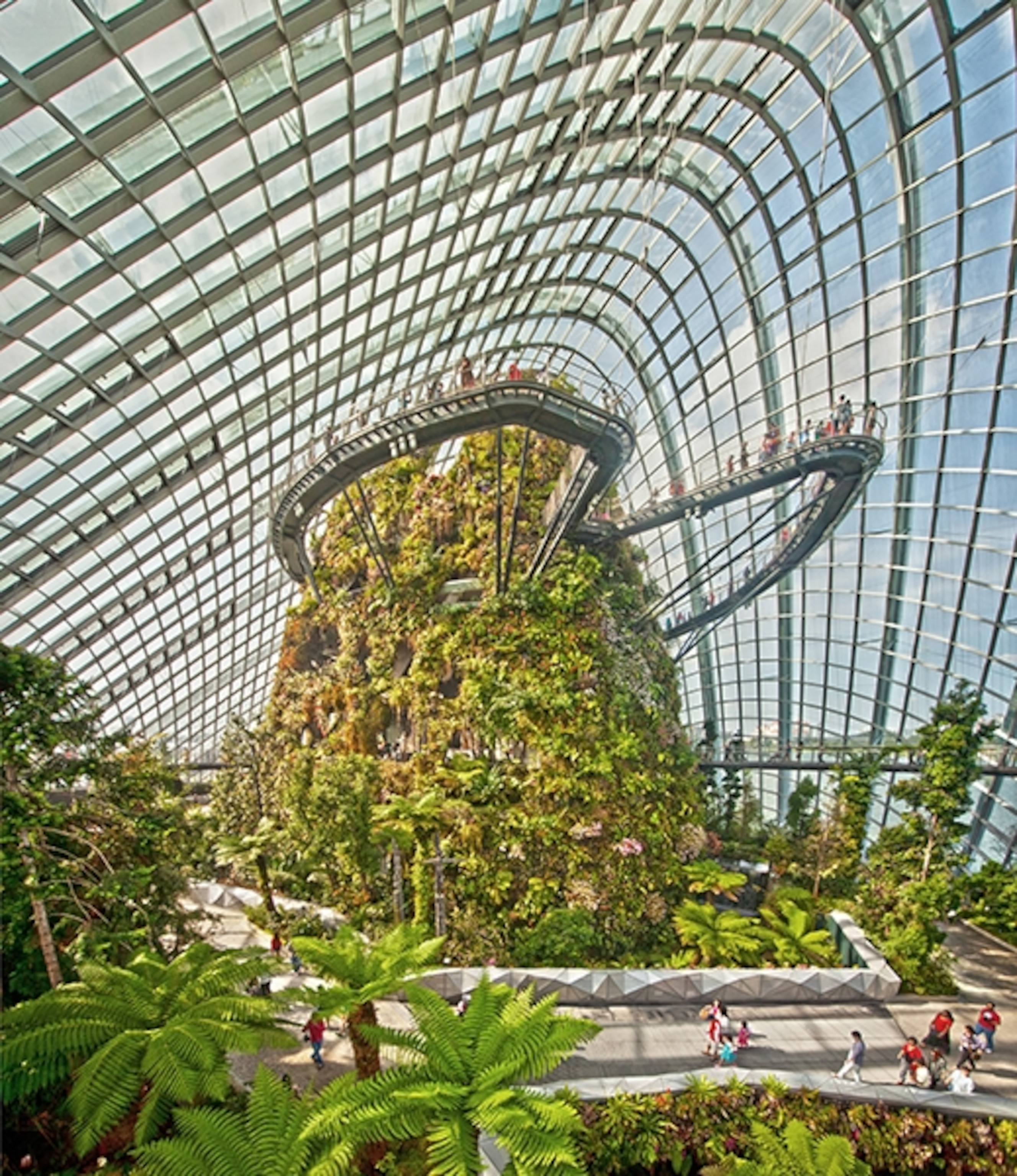 the interior of the Cloud Forest building, Singapore