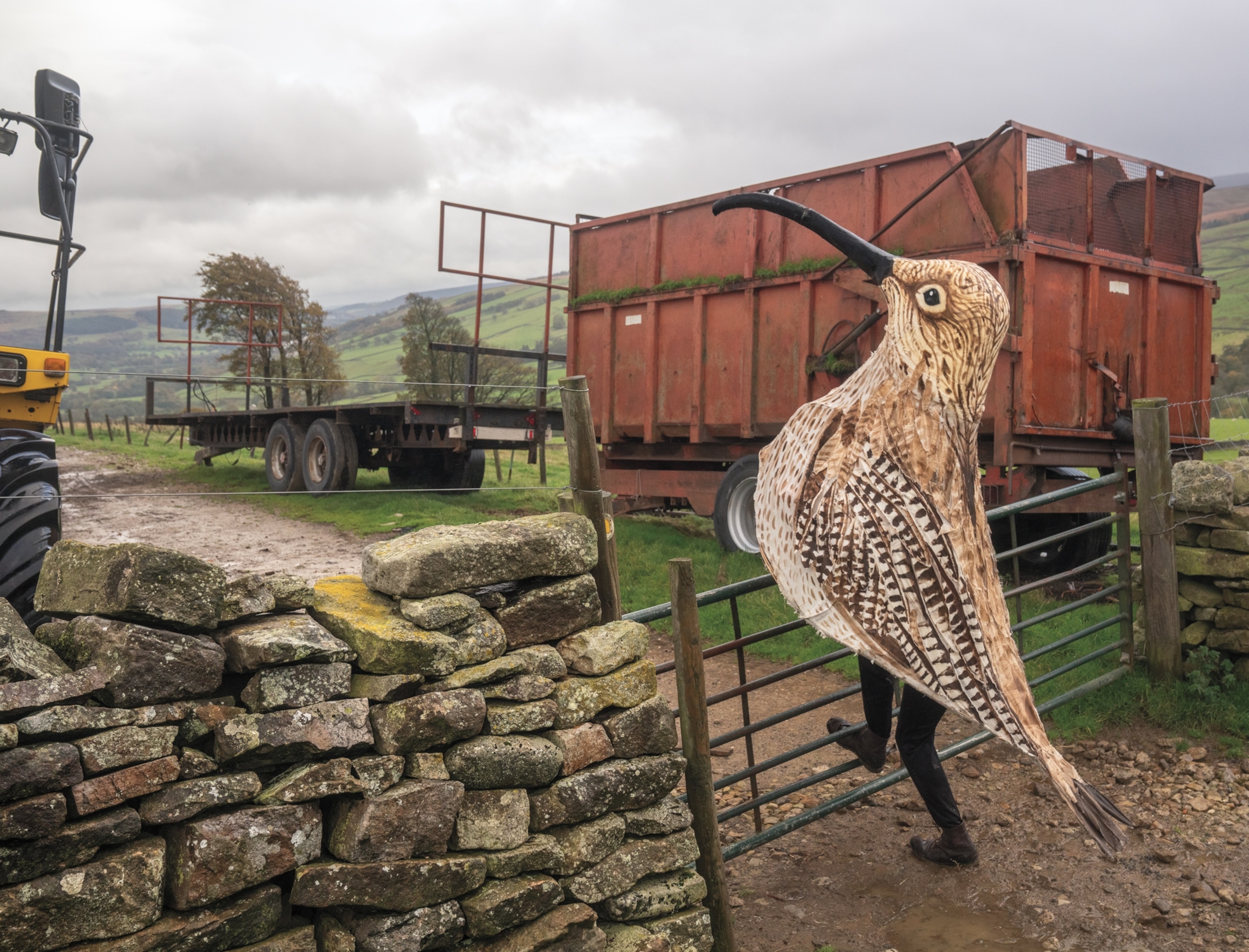 A man in a brown spotted Eurasian curlew bird costume opens a gate on a farm.