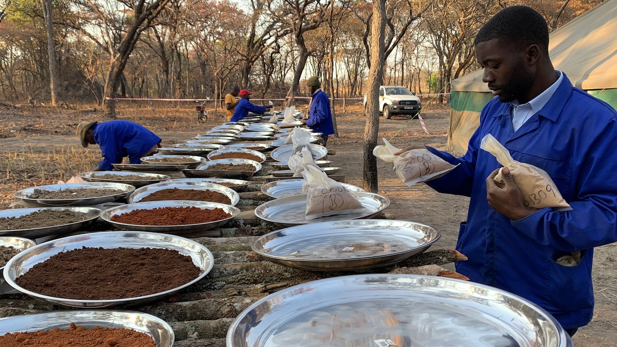 Electric cars are powered by rare metals. Can AI help find them?