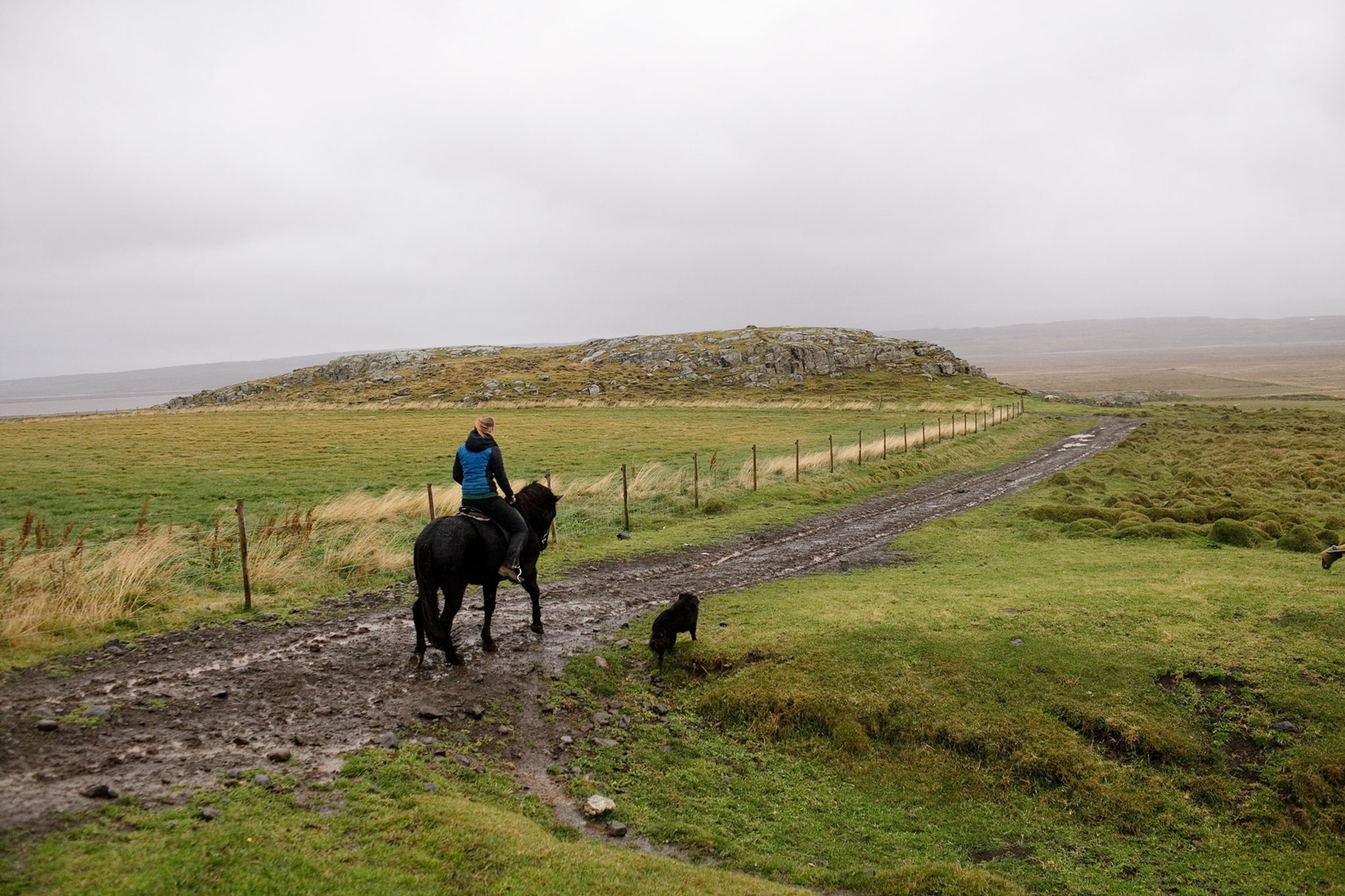a young woman riding a horse on a farm in Iceland, accompanied by a dog