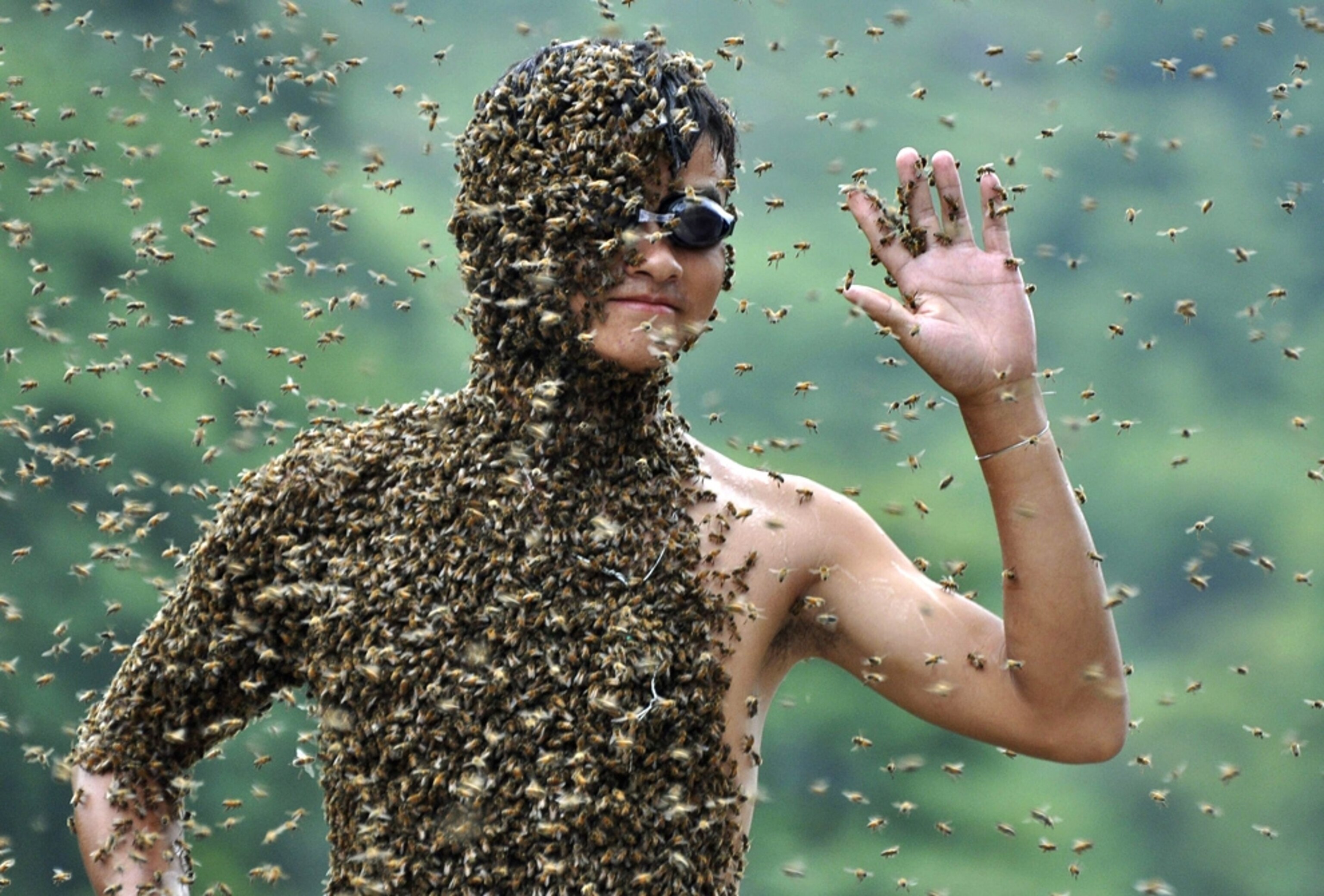 Bee picture: beekeepers in China attract bees to their bodies in a contest -- for best pictures of July photo gallery