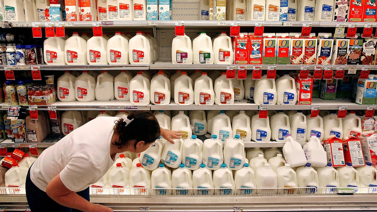 In Battle Against Food Waste Rethinking Use By Labels