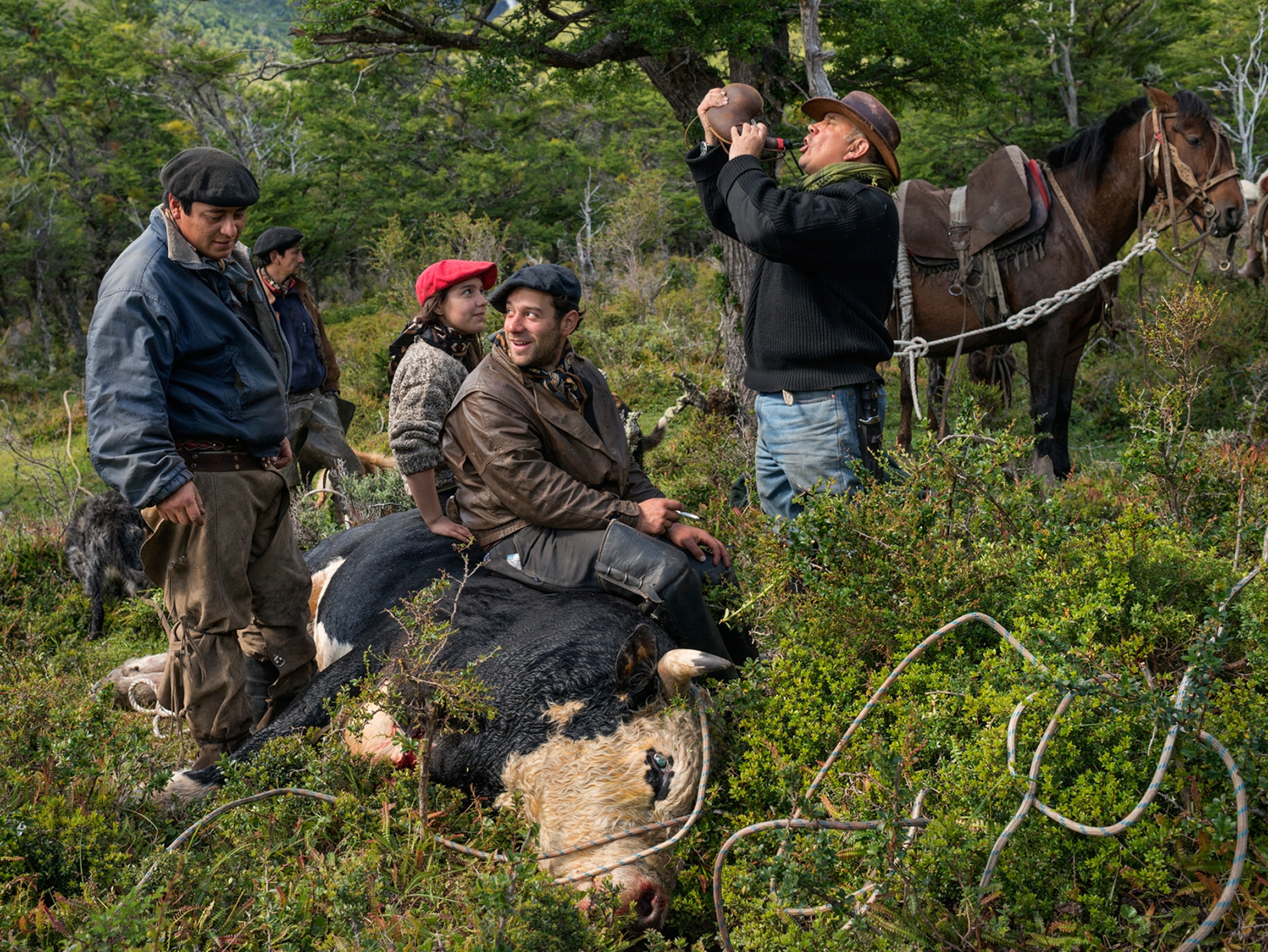 bagualeros sitting atop a dead bull