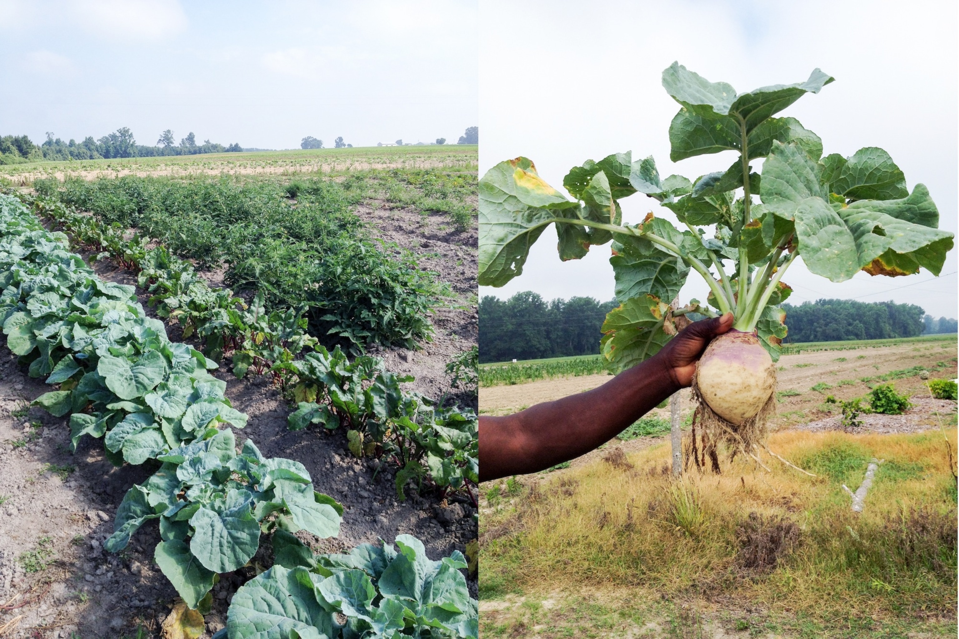 Photograph courtesy Jasmine Wiggins