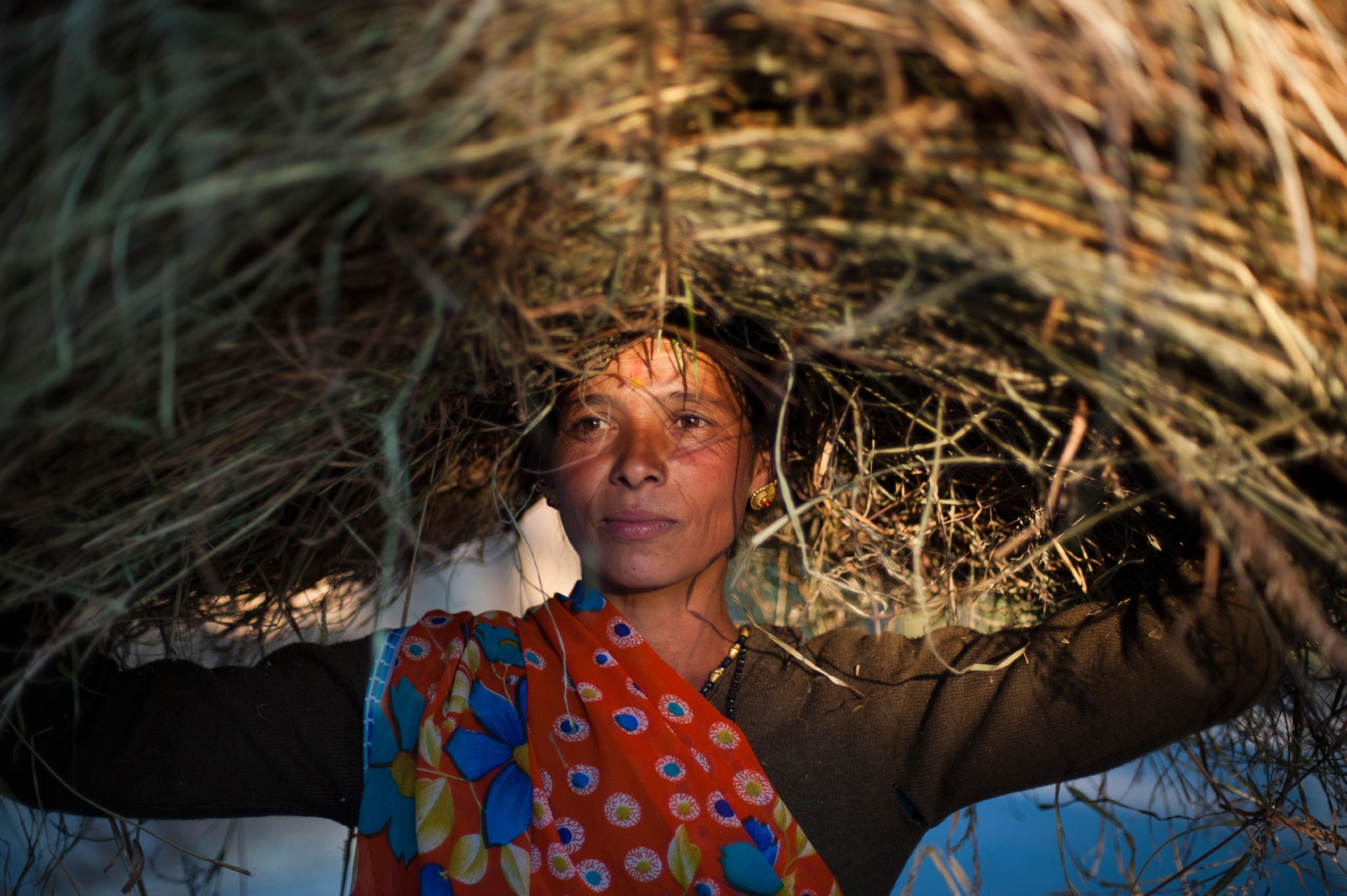 woman carrying pile of hay on head