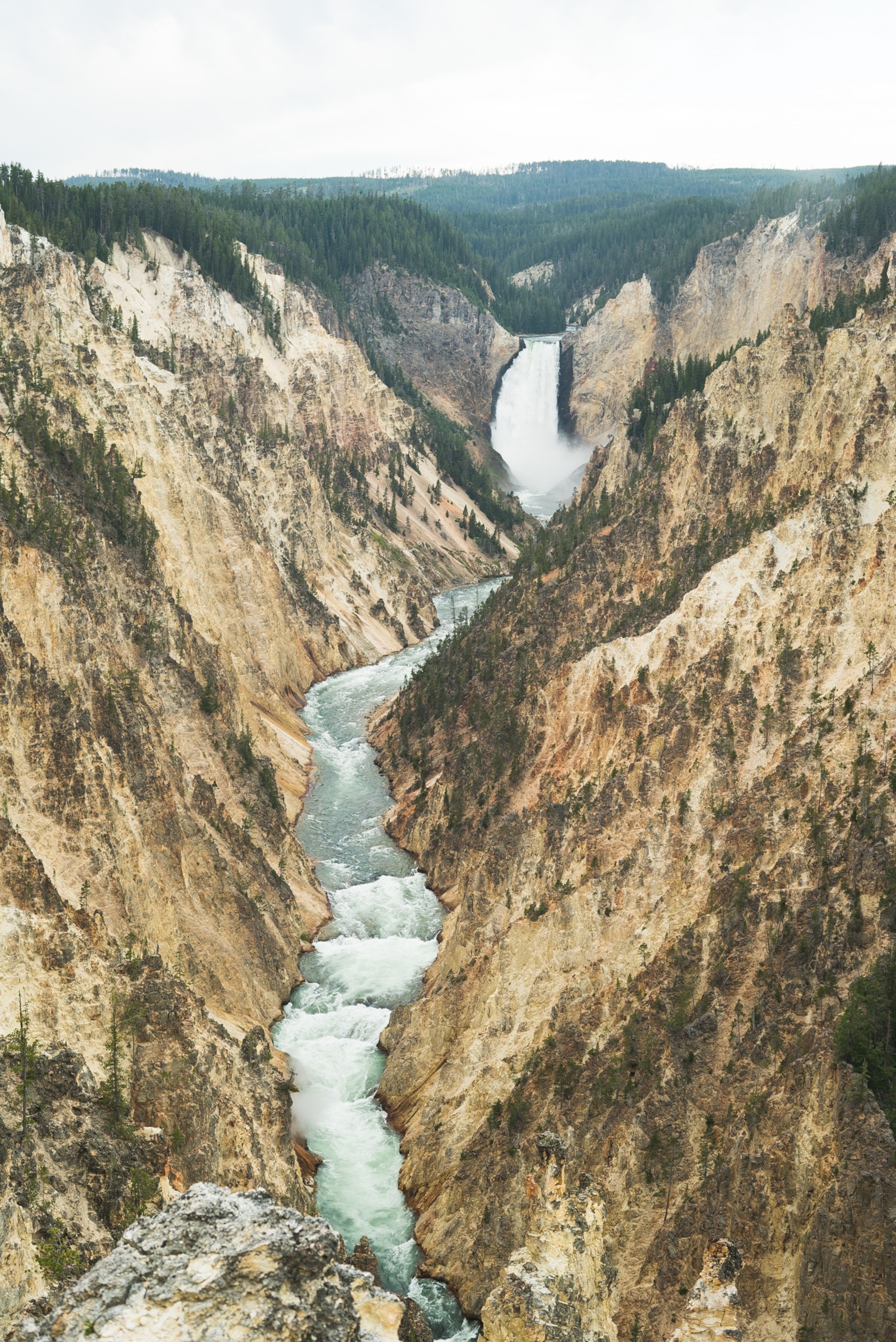 Lower Falls of the Yellowstone River in the Grand Canyon of the Yellowstone