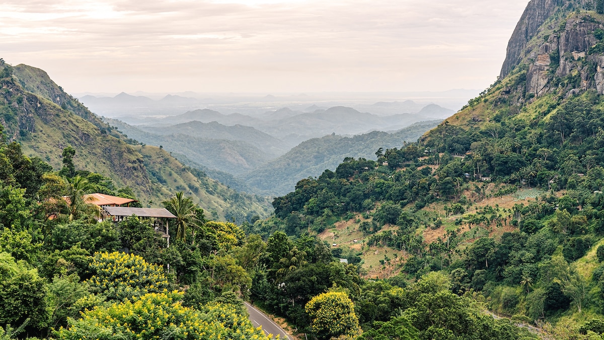 Sri Lanka’s misty tea country—in pictures