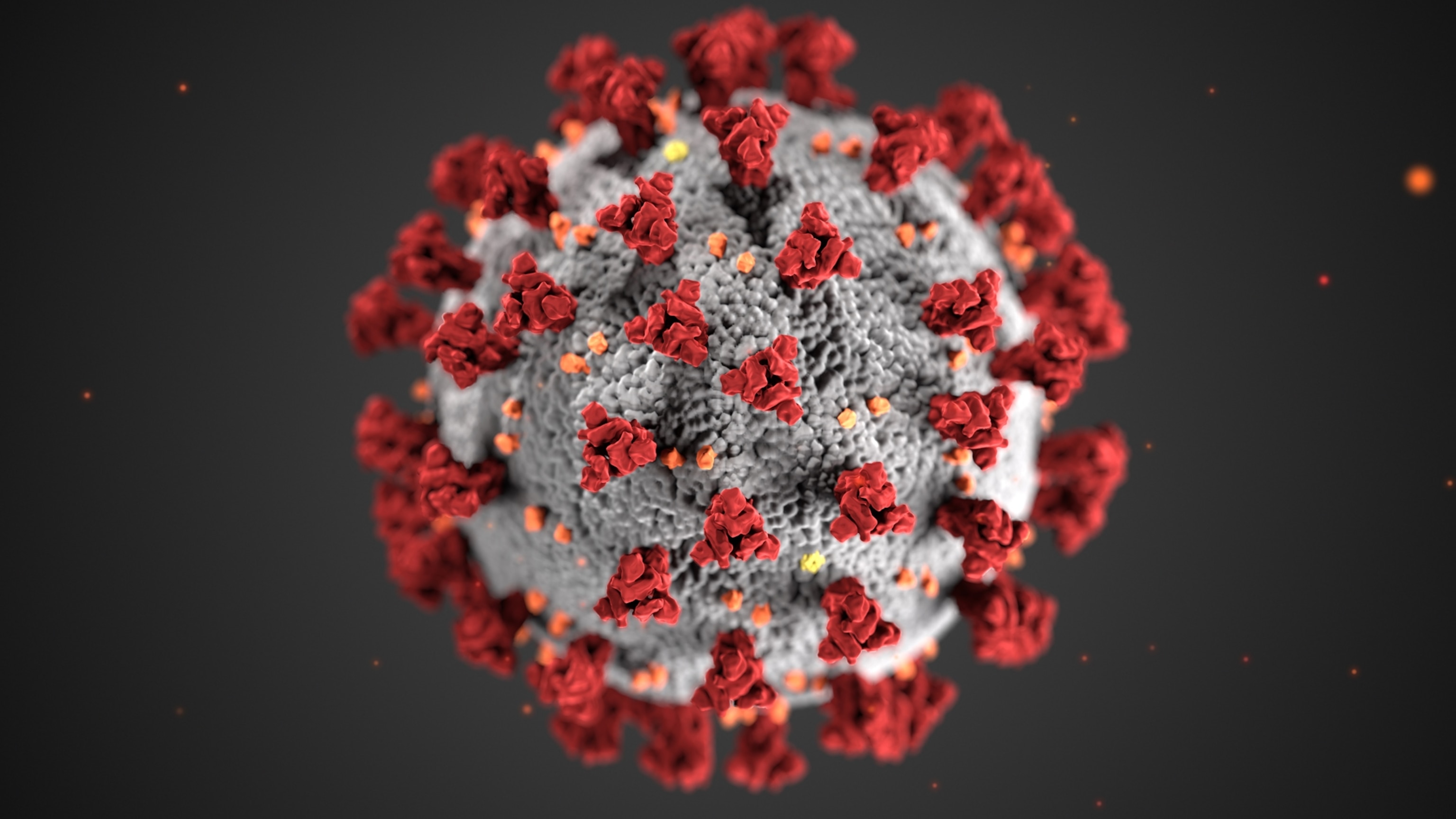 Coronavirus Coverage