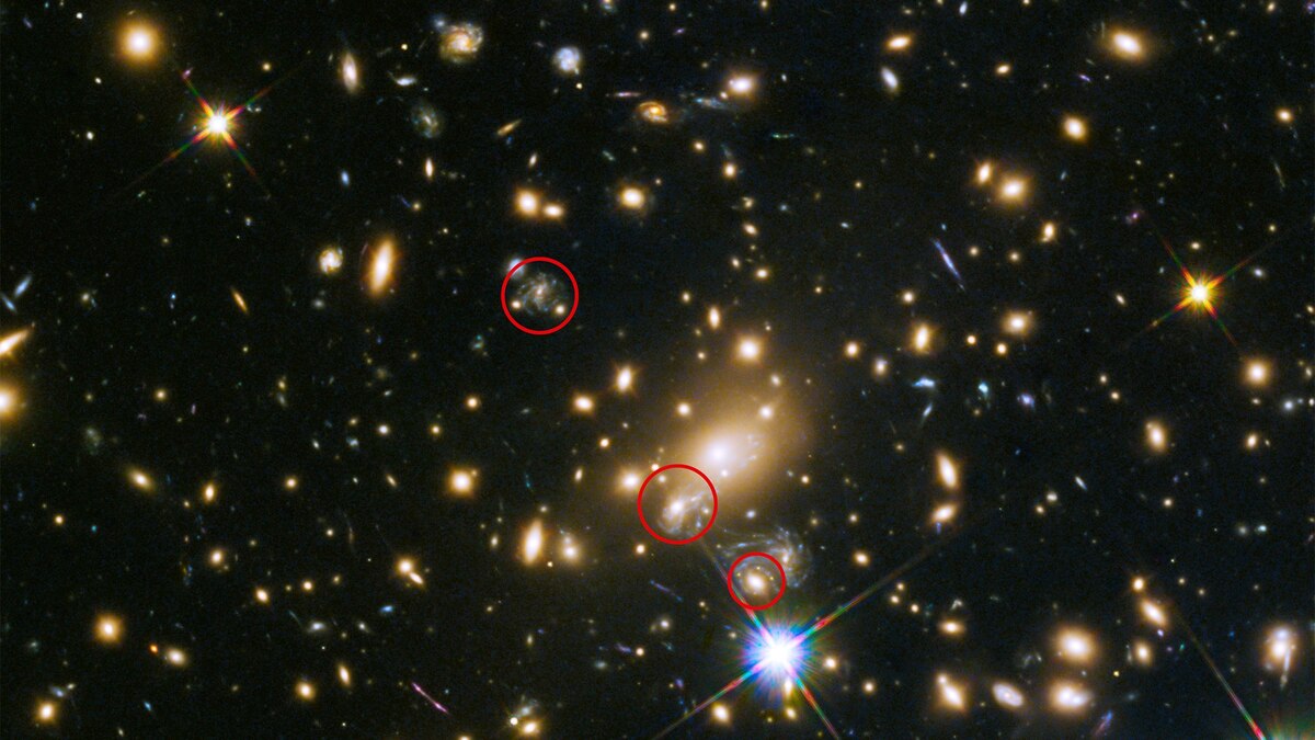 View of Exploding Star Appears, Right on Cue | National Geographic