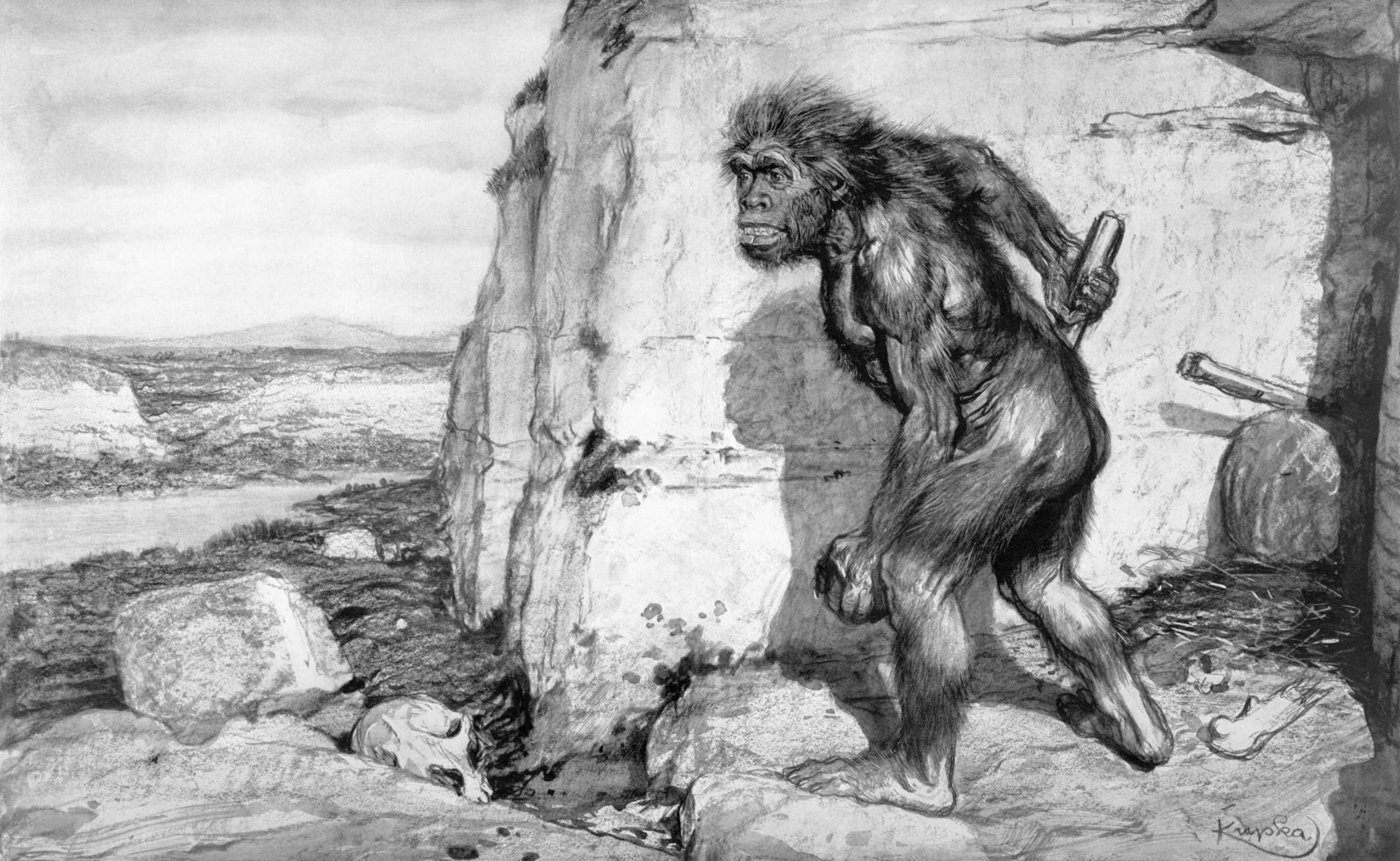 An early reconstruction of La Chapelle-aux-Saints 1, a Neanderthal sksleton, based on the theories of Marcellin Boule