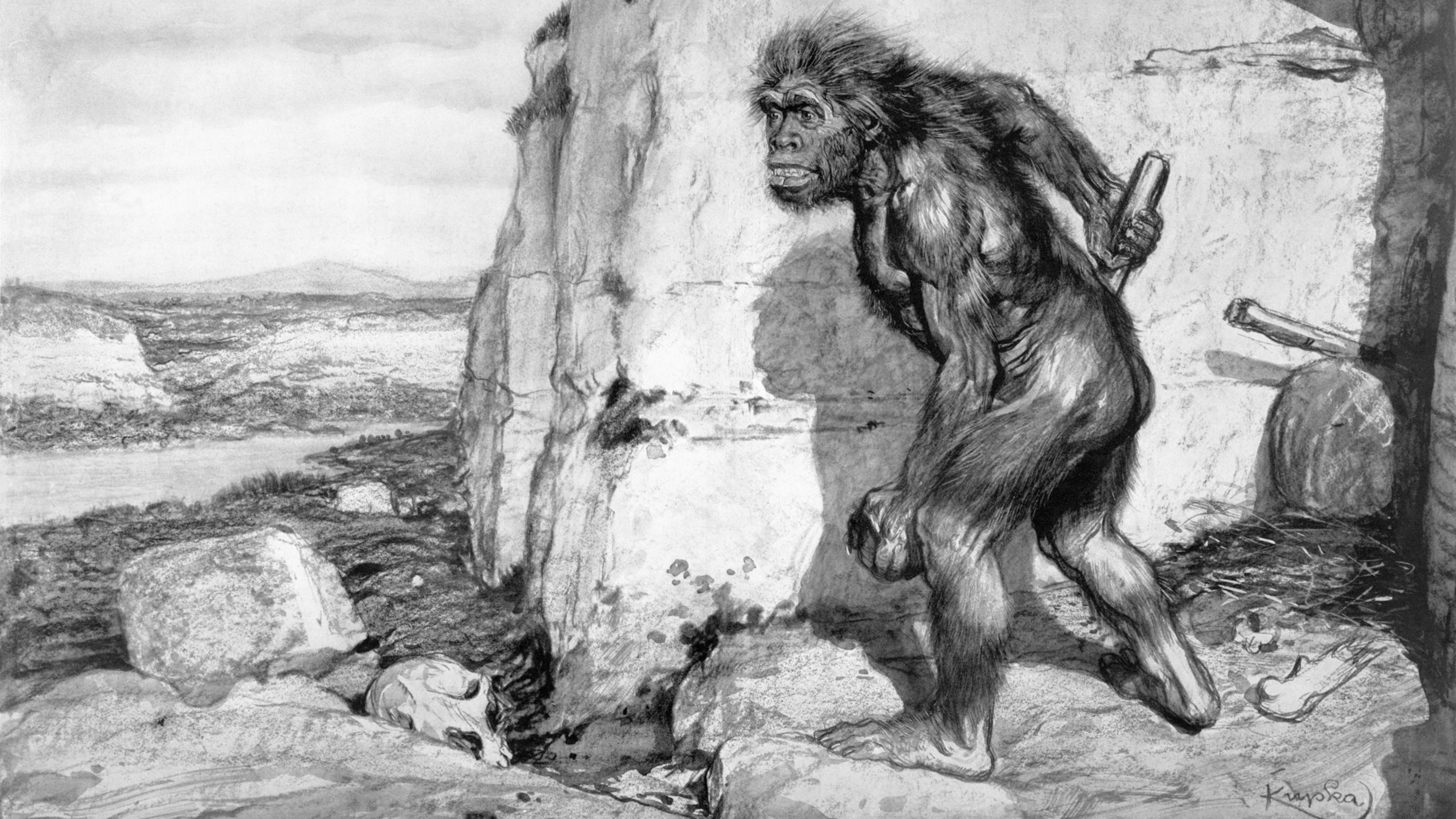 Justice for Neanderthals!