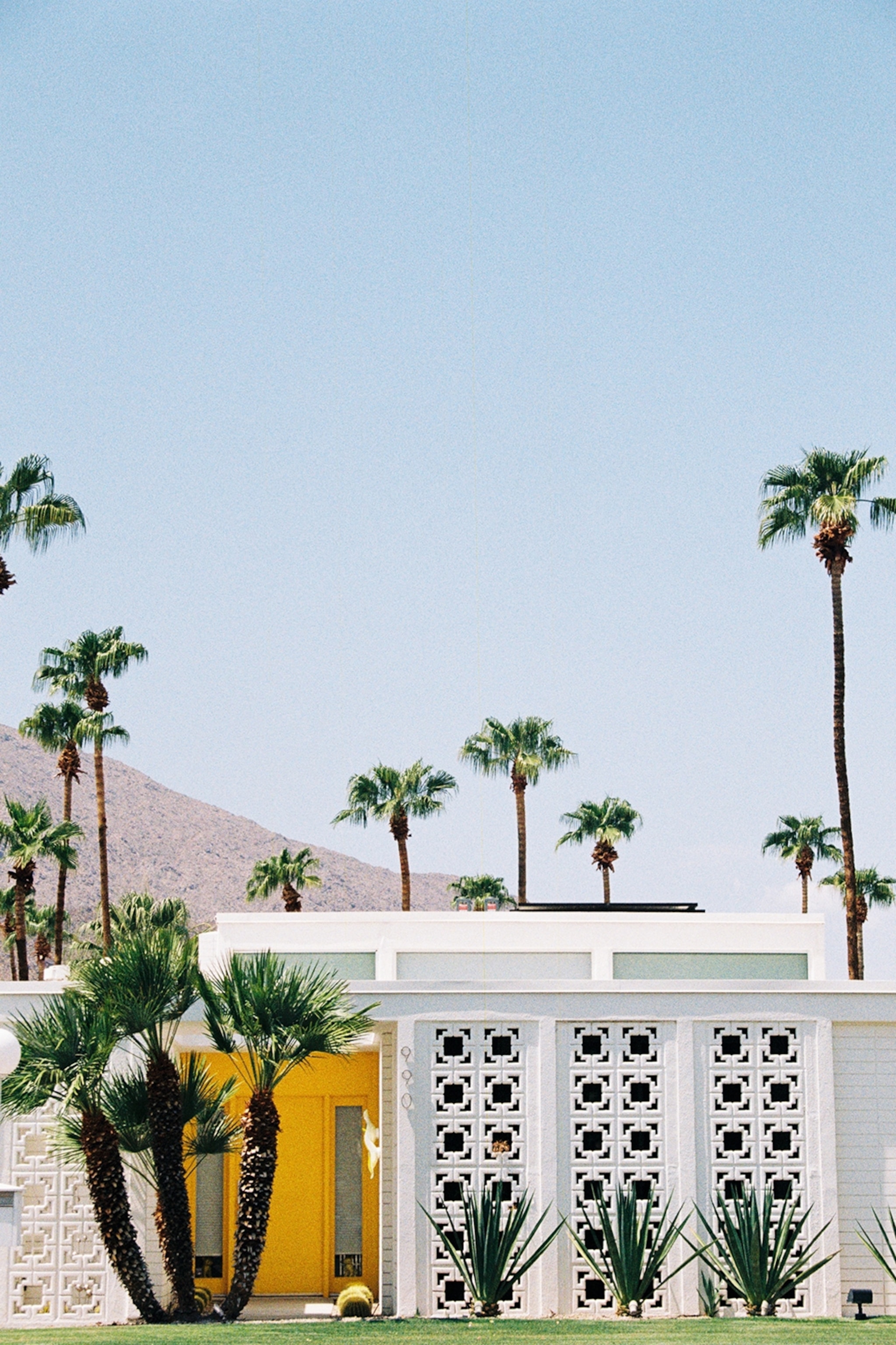 The exterior of a mid-century modern bungalow house surrounded by palm trees with hills in the background.