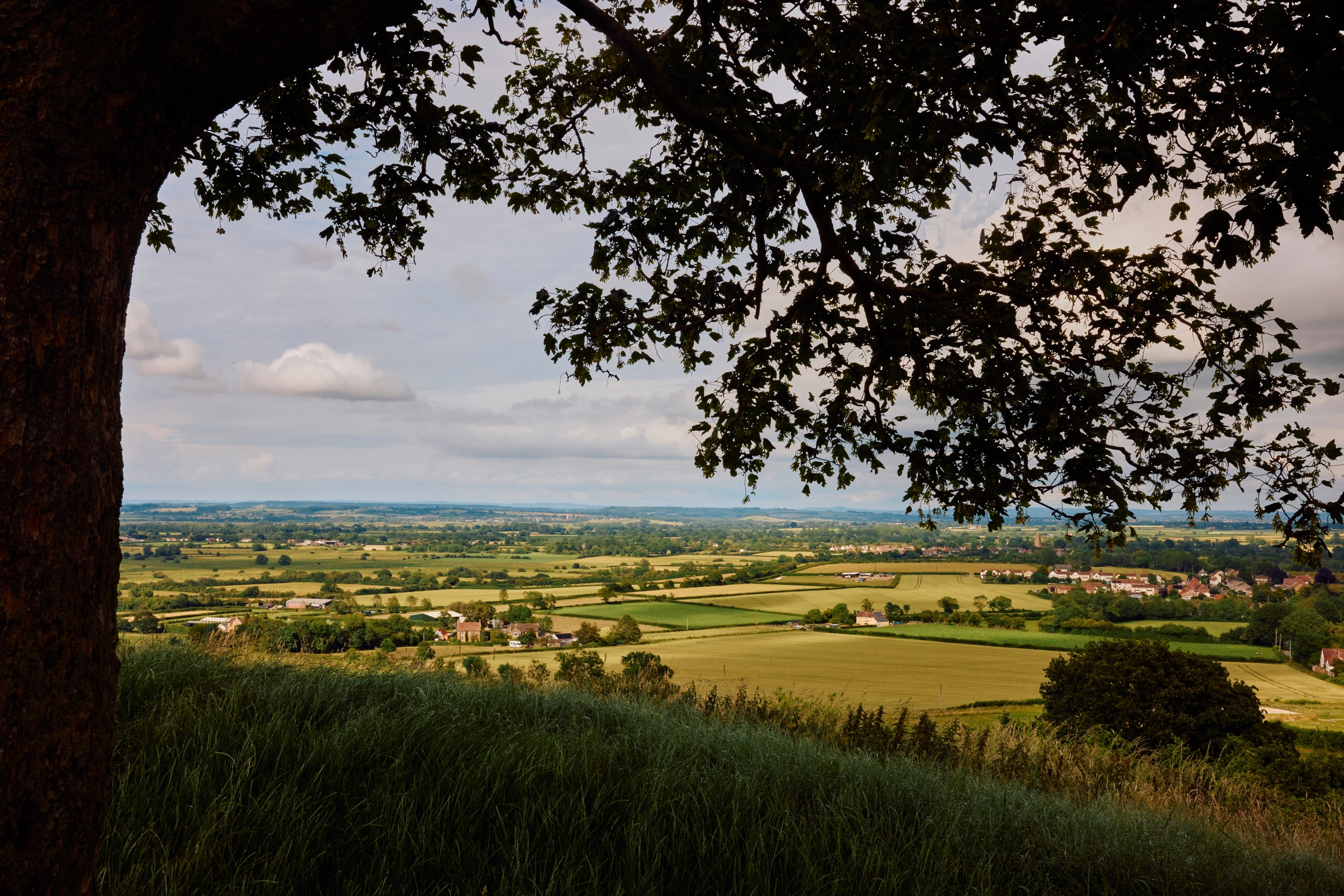 View from Burrow Hill