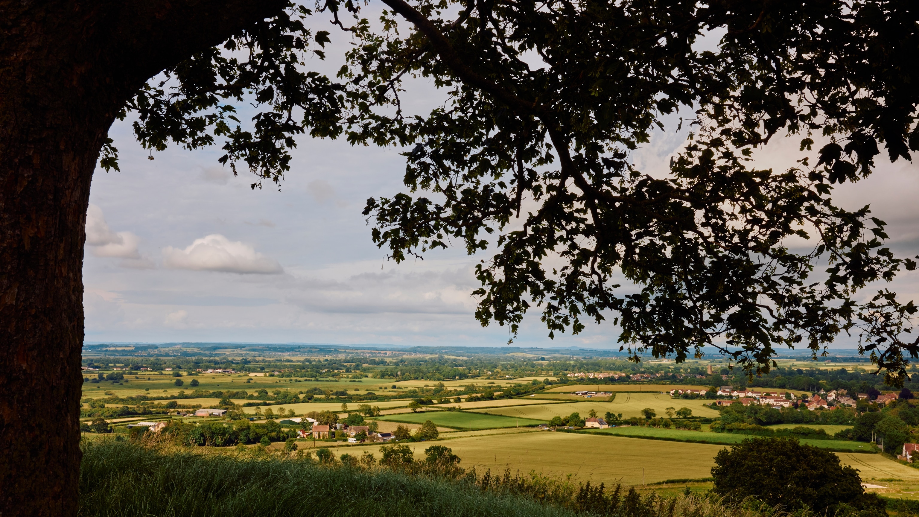 Follow Somerset's Cider Trail for England's Best Pours