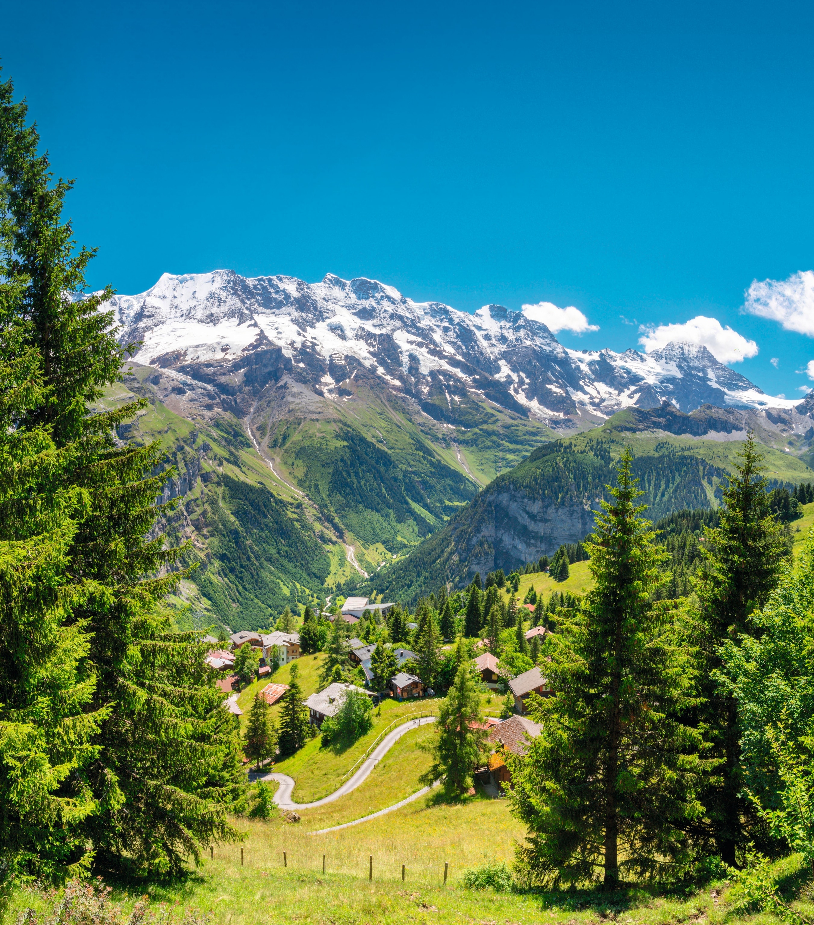 A lush green landscape dotted with Alpine homes in the Swiss Alps, set against a backdrop of snow-capped mountains beneath a bright blue sky.
