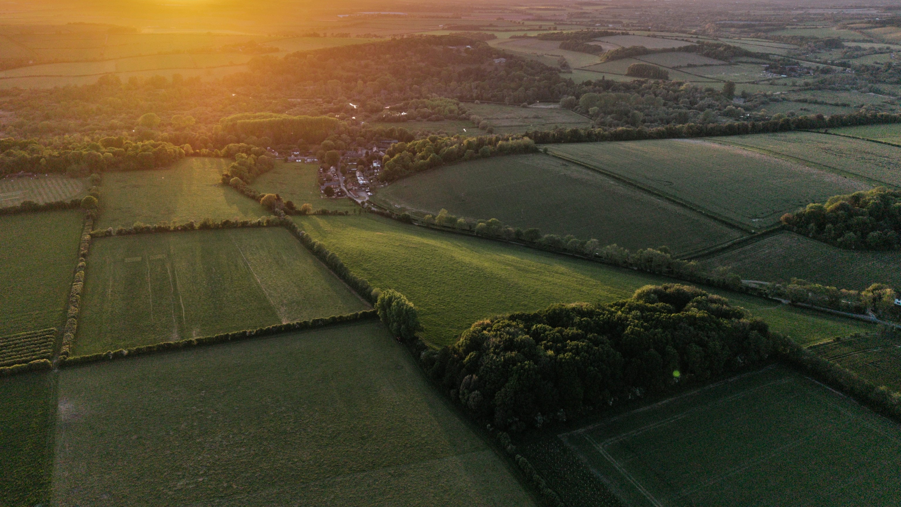 Regenerative Agriculture: Five Ways We Can Save Our Soil
