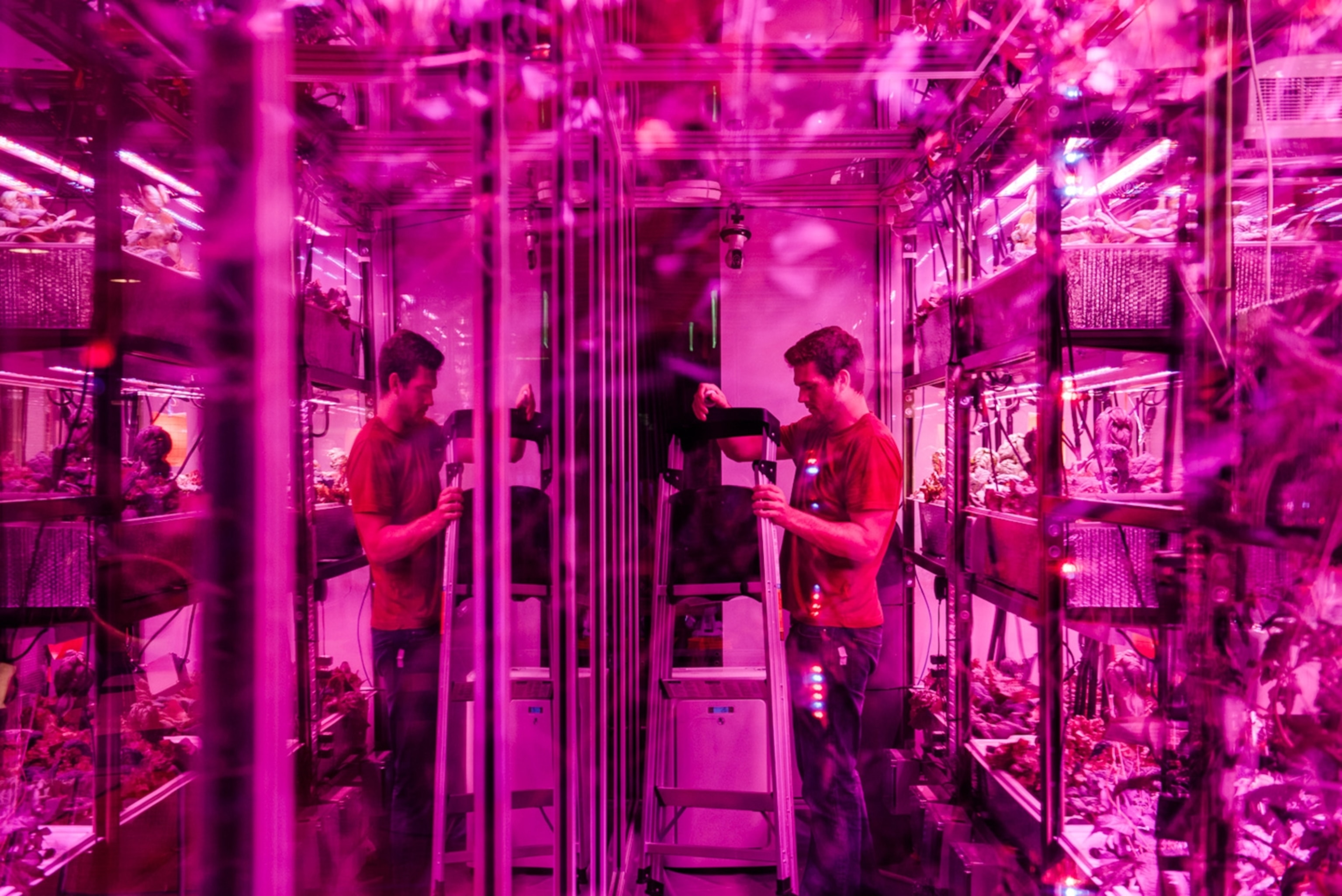 Caleb Harper and his team conduct research about the future of urban farming at MIT in Boston. In shipping-container-size boxes they create computer-controlled microclimates to experiment with different vegetables. Photograph by Mario Wezel, National Geographic