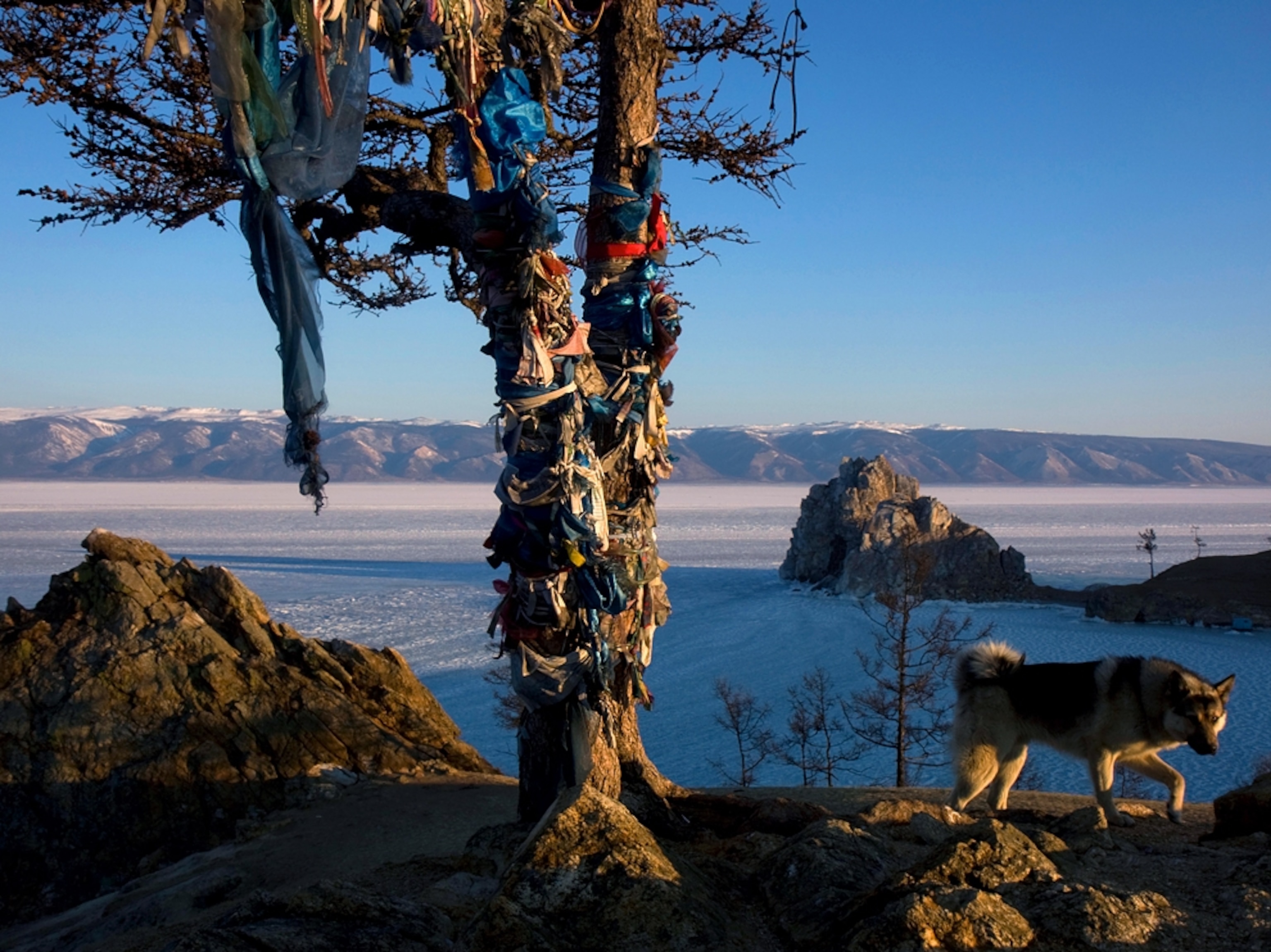 a tree wrapped with prayer flags, Lake Baikal