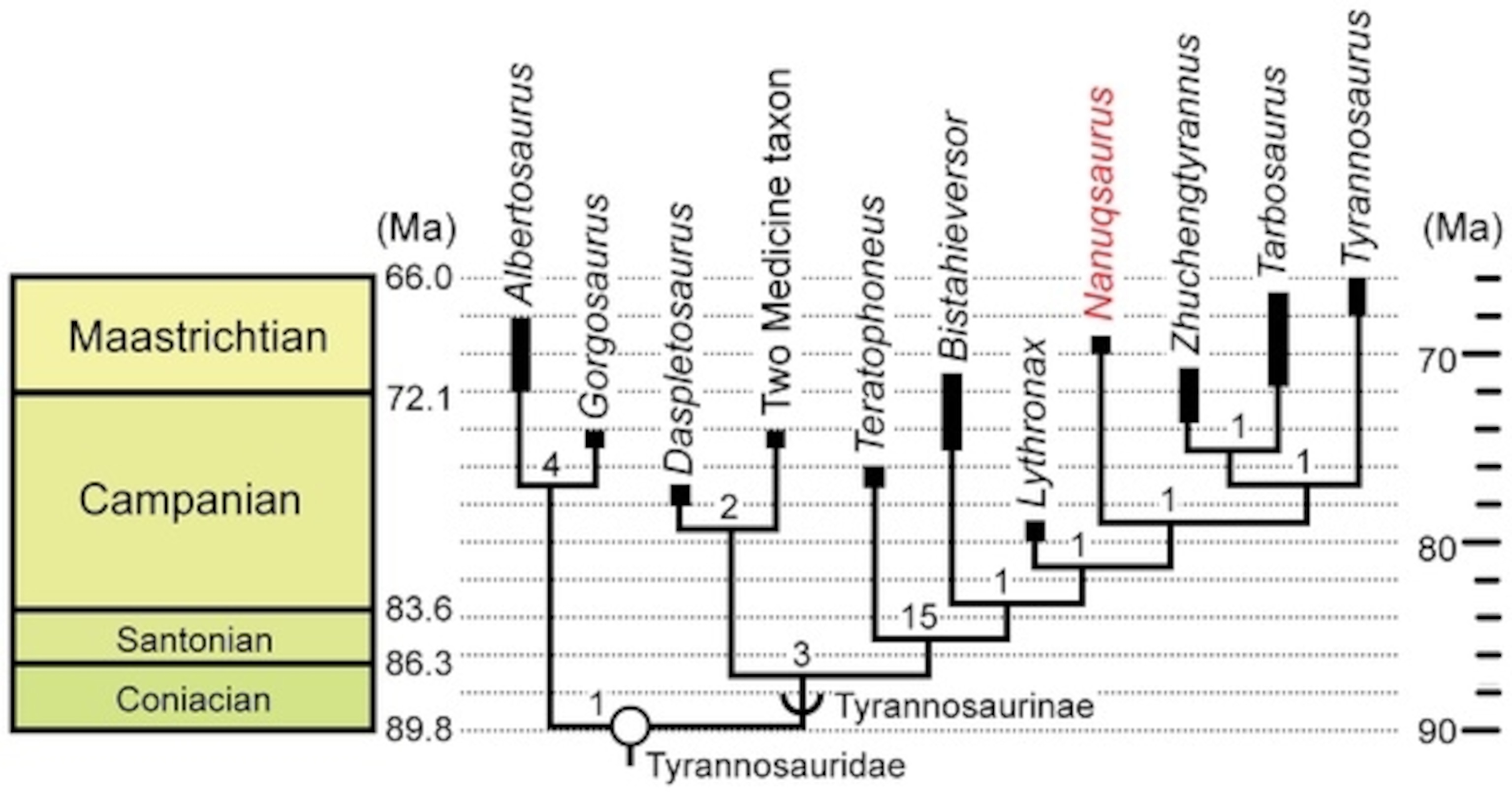 tyrannosaur-phylogeny
