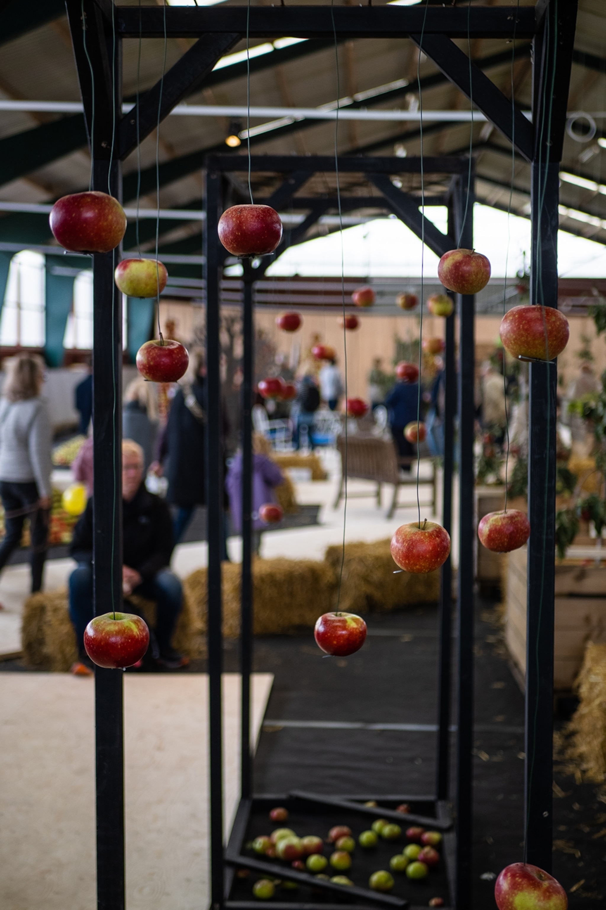 Several apples hanging at a market stall.