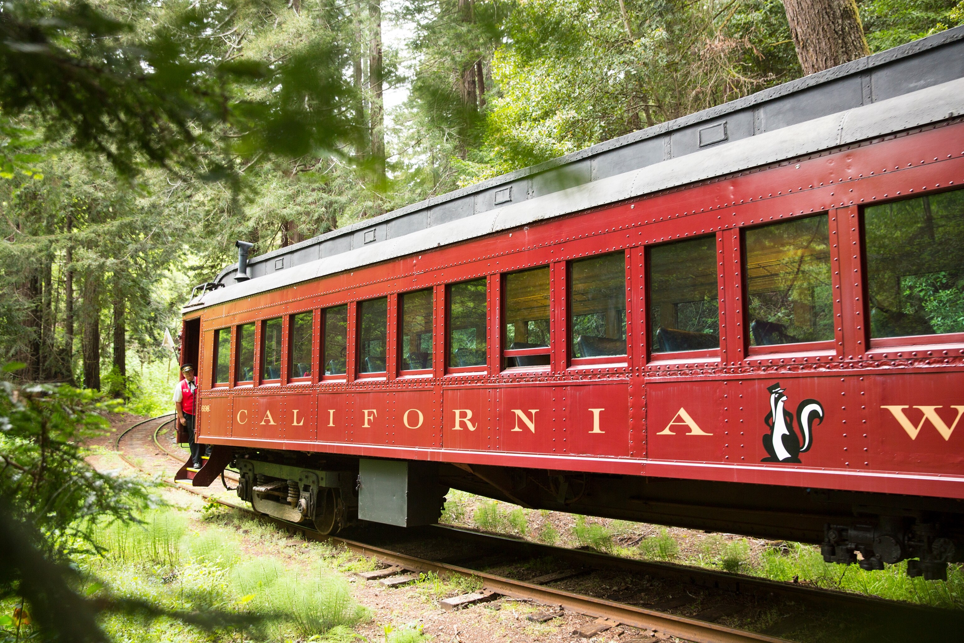 the Skunk Train, Mendocino National Forest, California