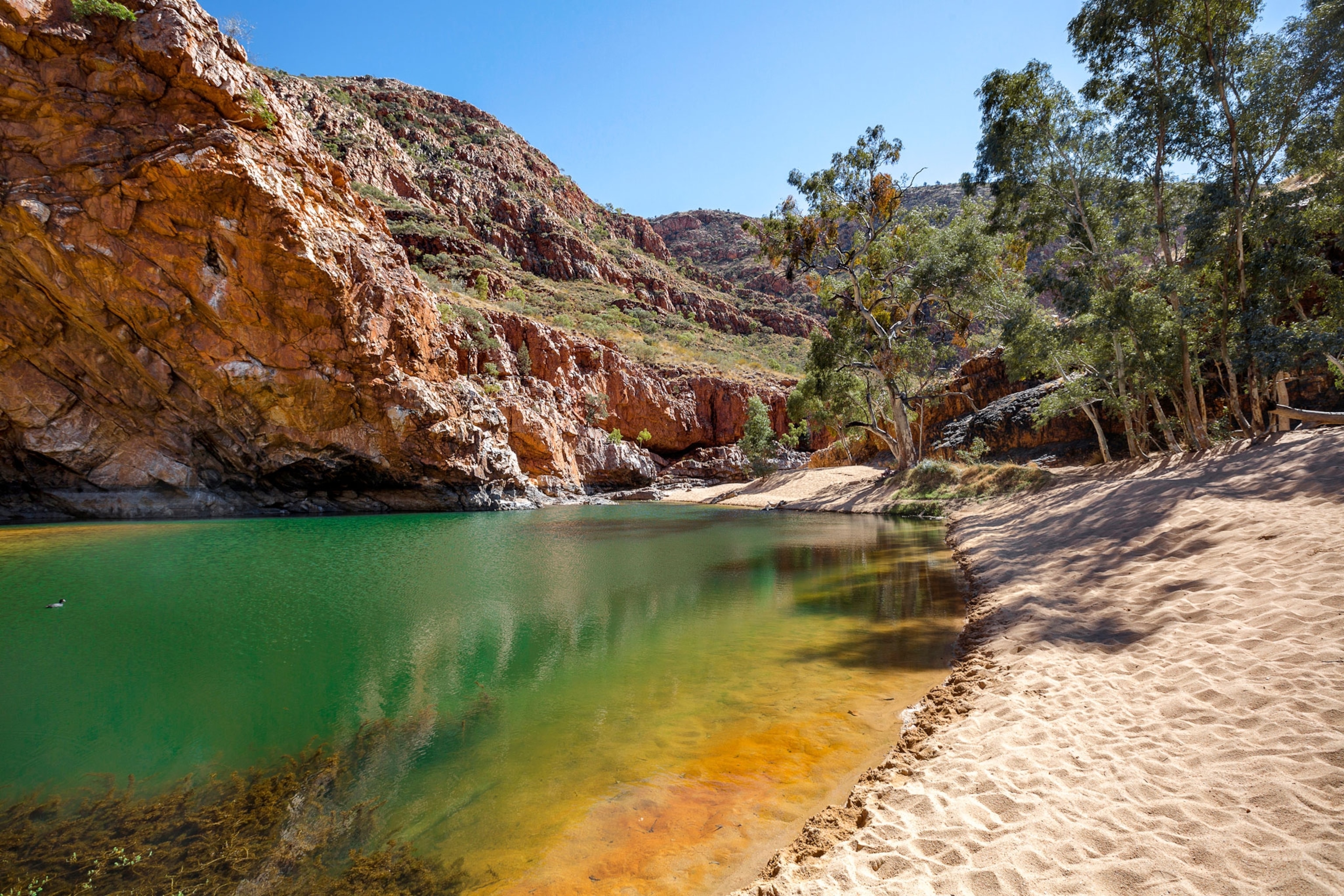 A blue-green water hole surrounding by red-rock cliffs, sand and pine trees