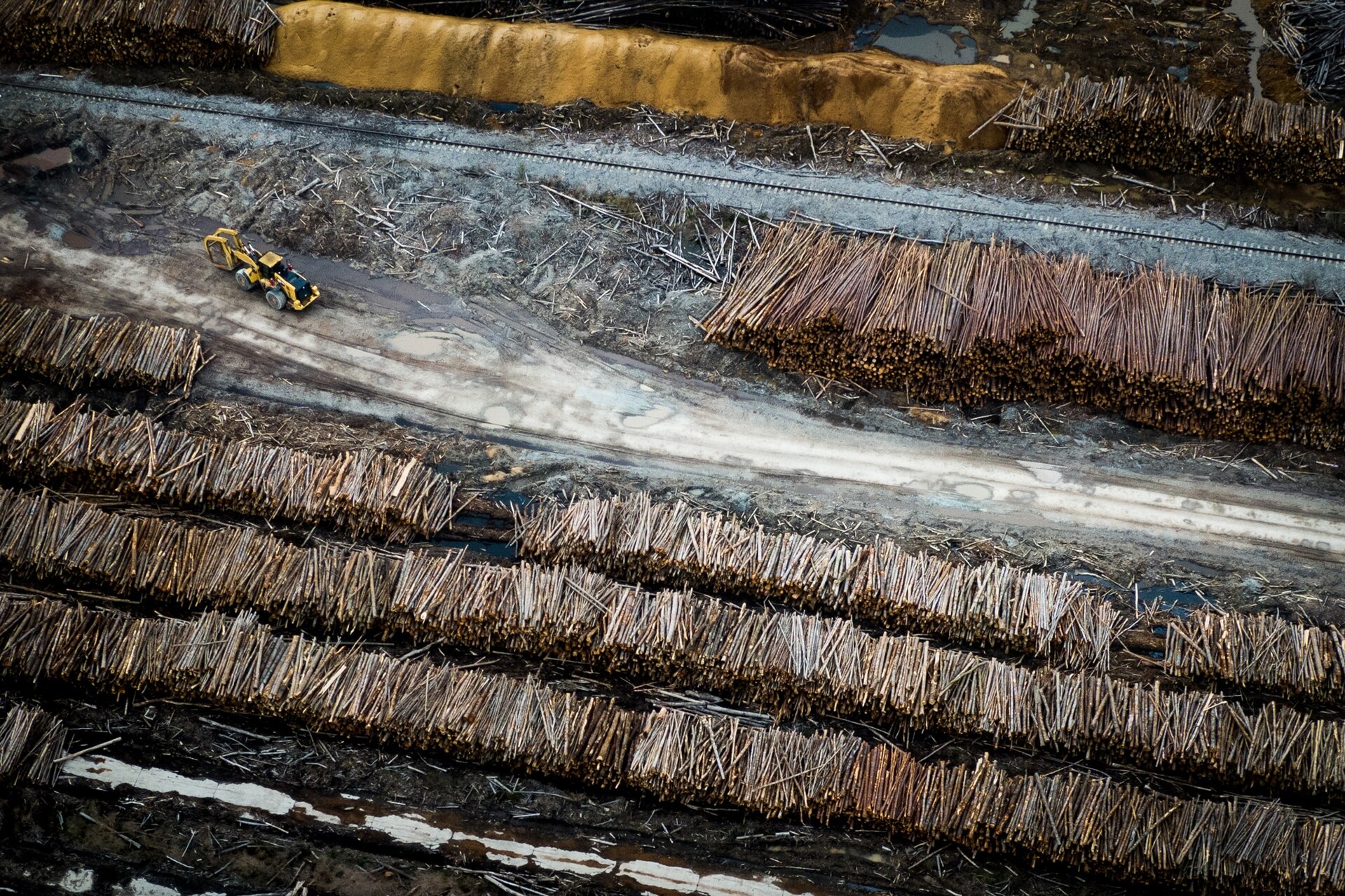 An aerial view of logs stacked in 4 rows