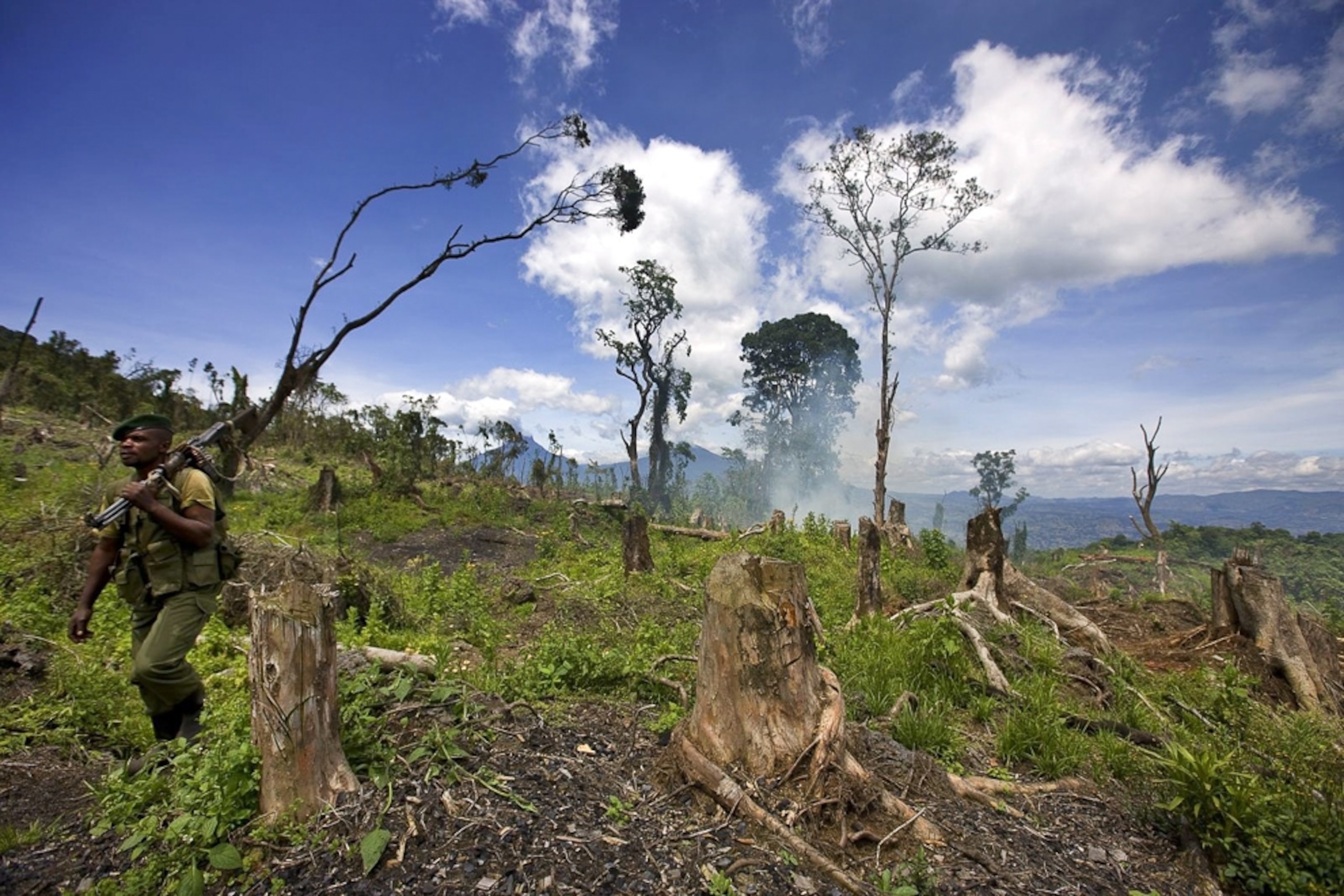 Rangers conduct an anti-charcoal patrol in Virunga National Park in 2008.