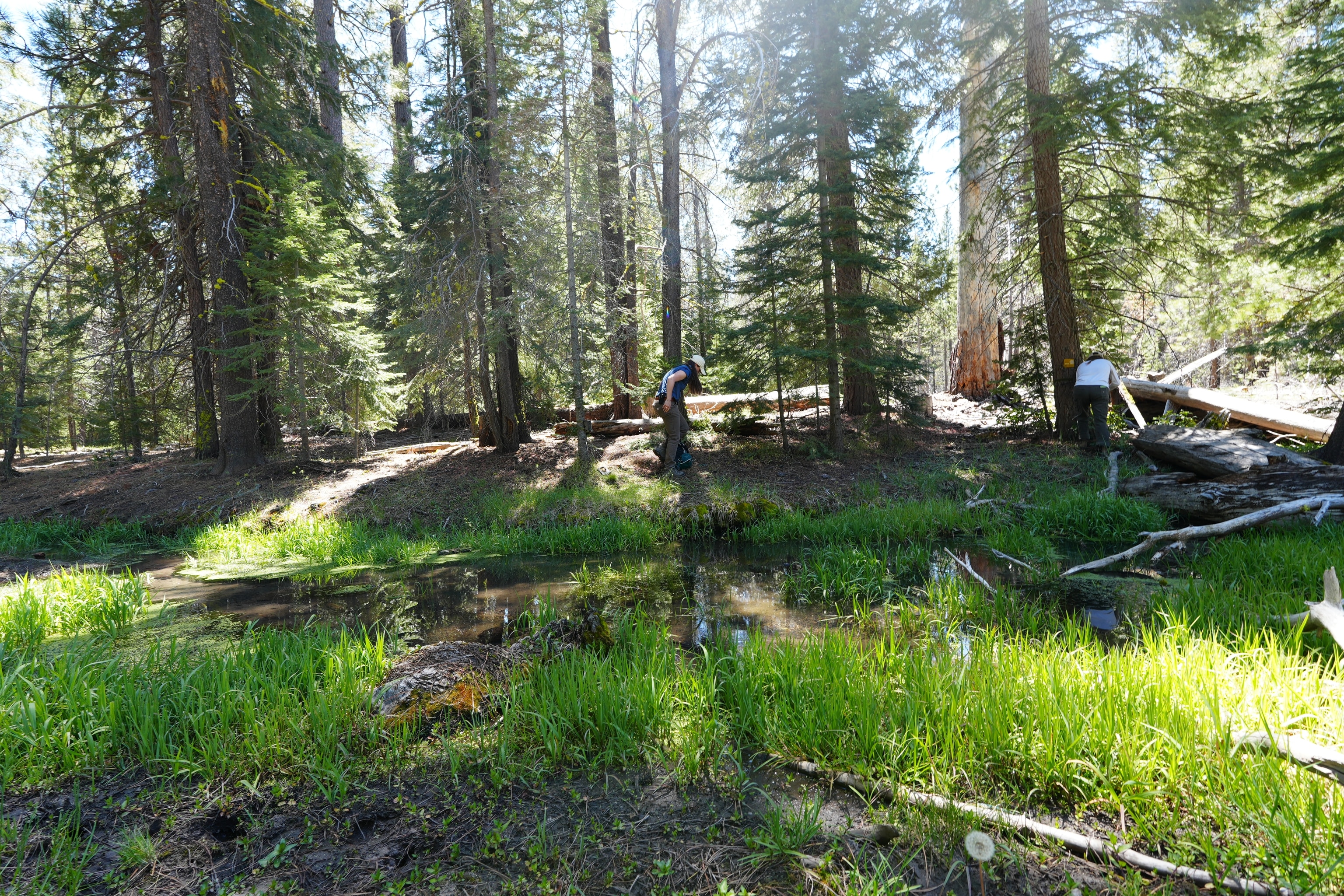 National Geographic Explorer and conservation scientist Dr. Kaggie Orrick and her collaborator, photographer and communications story lead for the California Wolf Project, Malia Byrtus, at a gray wolf rendezvous site in Siskiyou County, California. As Director of the California Wolf Project, she collaborates with local communities to foster coexistence following the apex predator's natural return to the state in 2011 after a century-long absence.