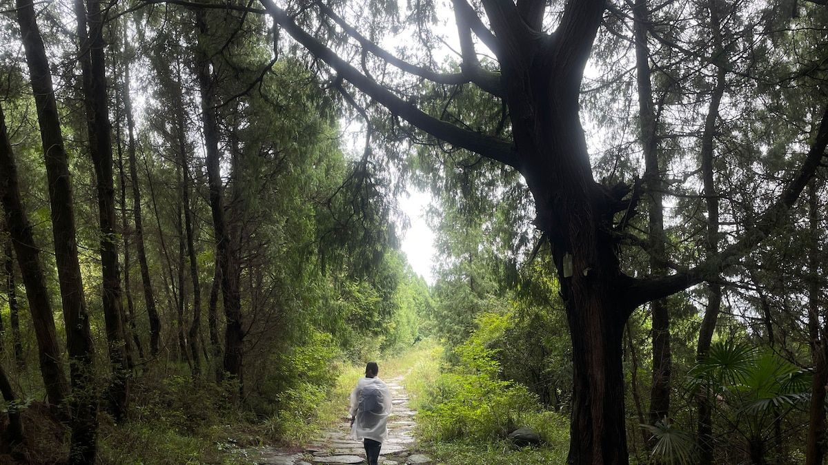 This ancient marvel rivaled Rome's intricate network of roads - Vimarsana News