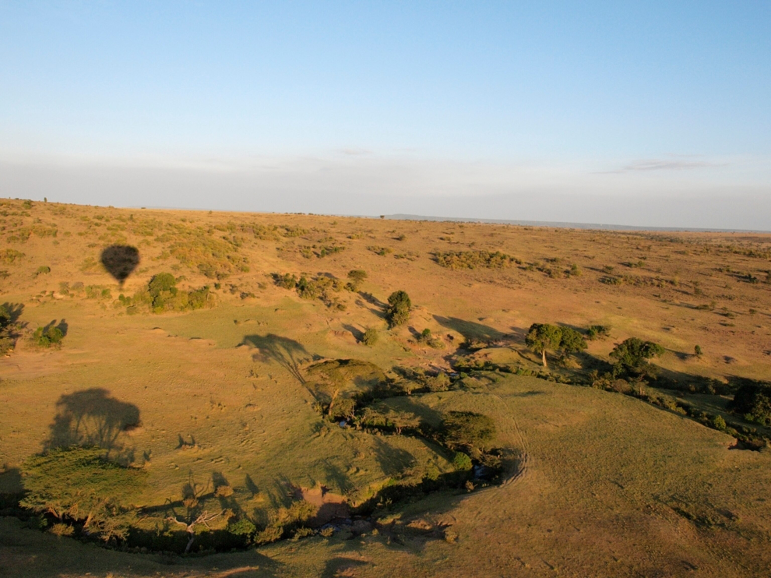 View of Masai Mara from hot air balloon, Kenya, Africa