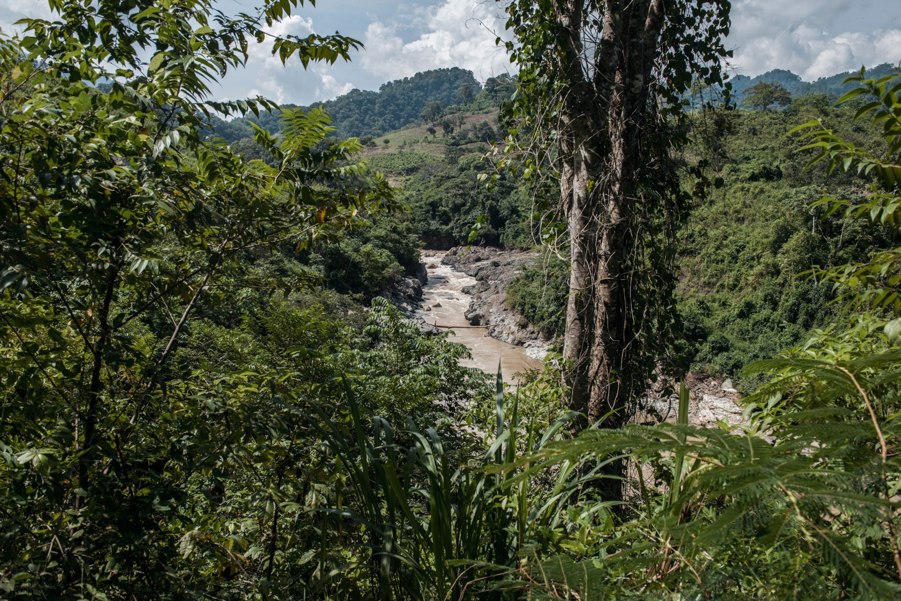 environmental activism in Honduras
