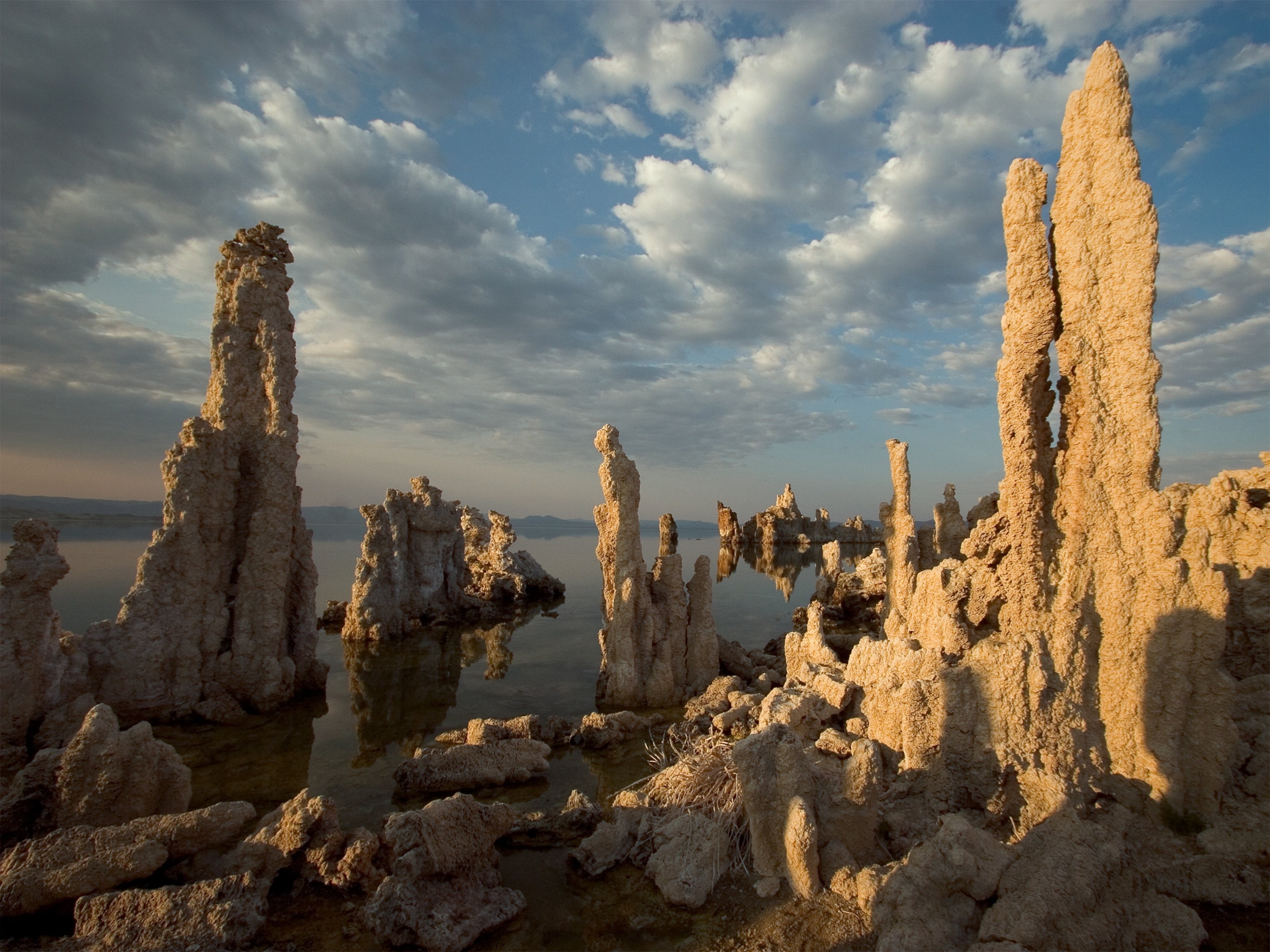 The Arsenic Life Hoax: Science Finally Admits Defeat - ruslpdw