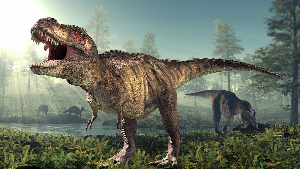 Can You Draw a T. Rex Correctly? - nationalgeographic.com image
