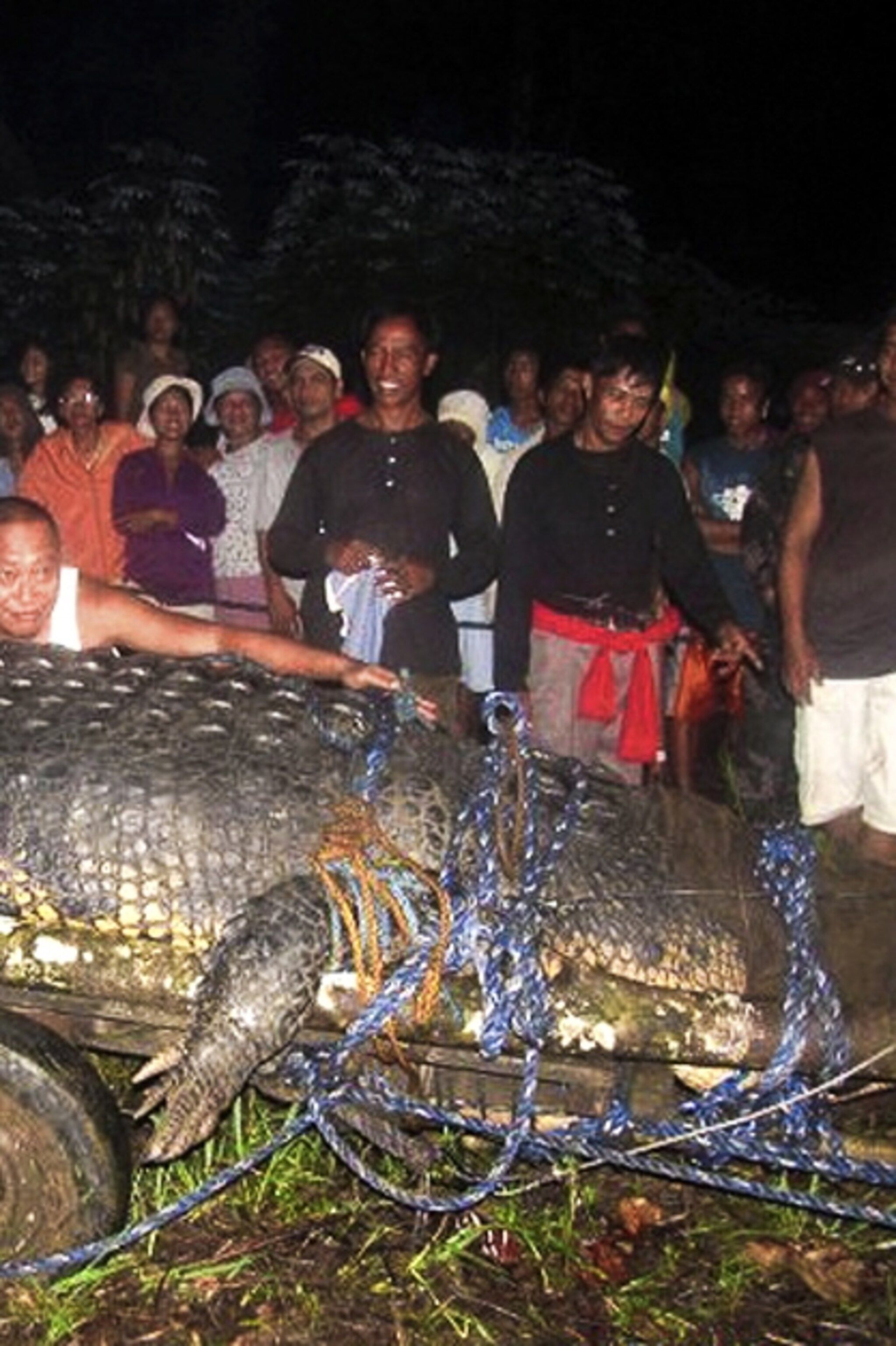 Pictures: Biggest Crocodile Ever Caught?