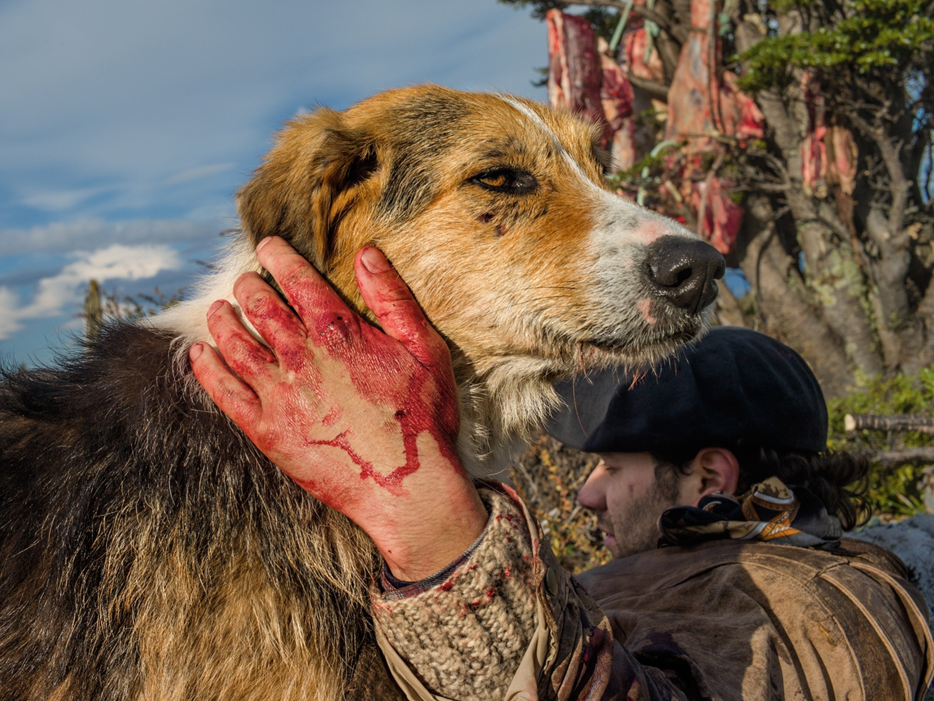 a bagualero resting with his dog