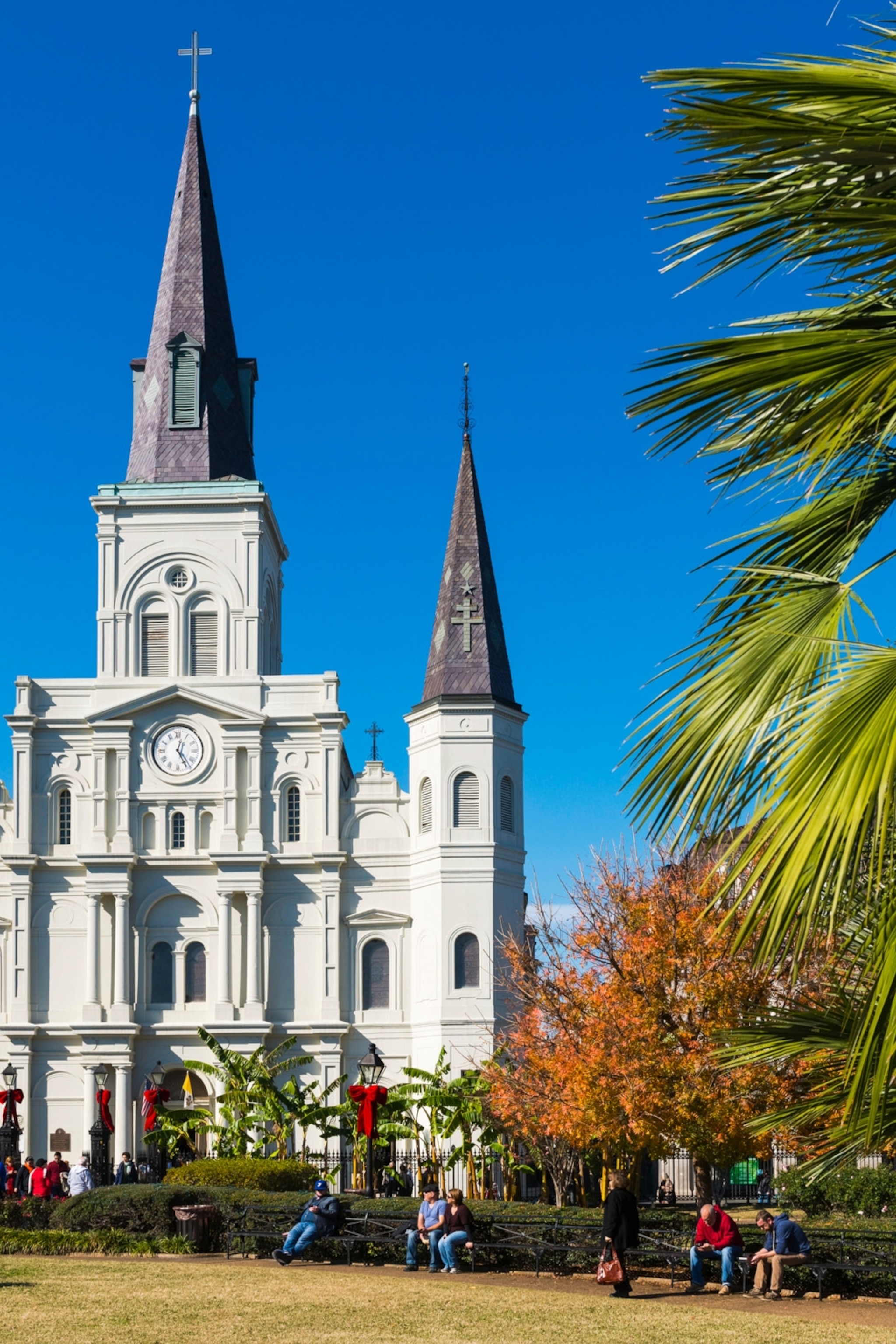 New Orleans Travel Guide