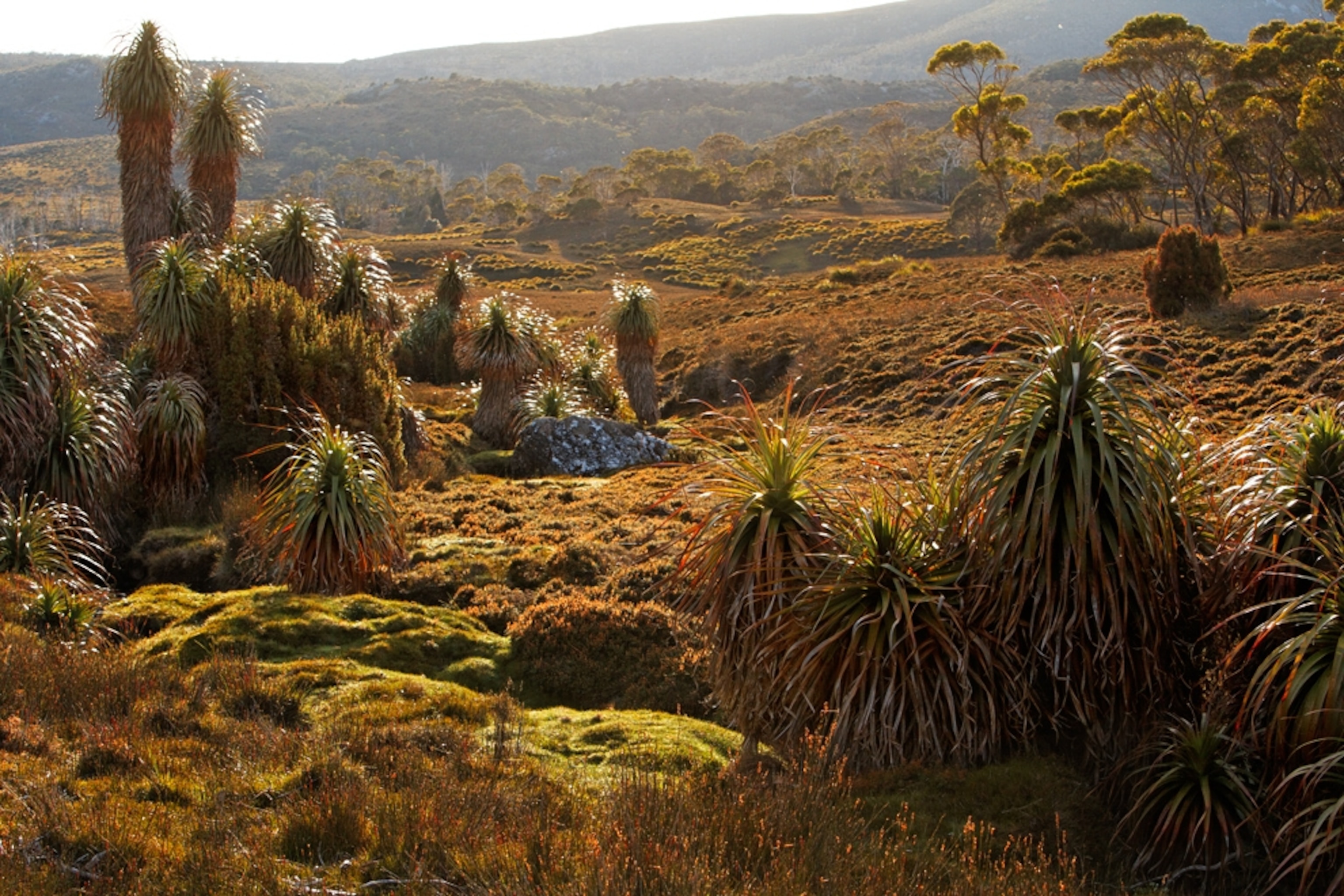 Australia picture: Tasmania -- for gallery related to Earth's population hitting seven billion