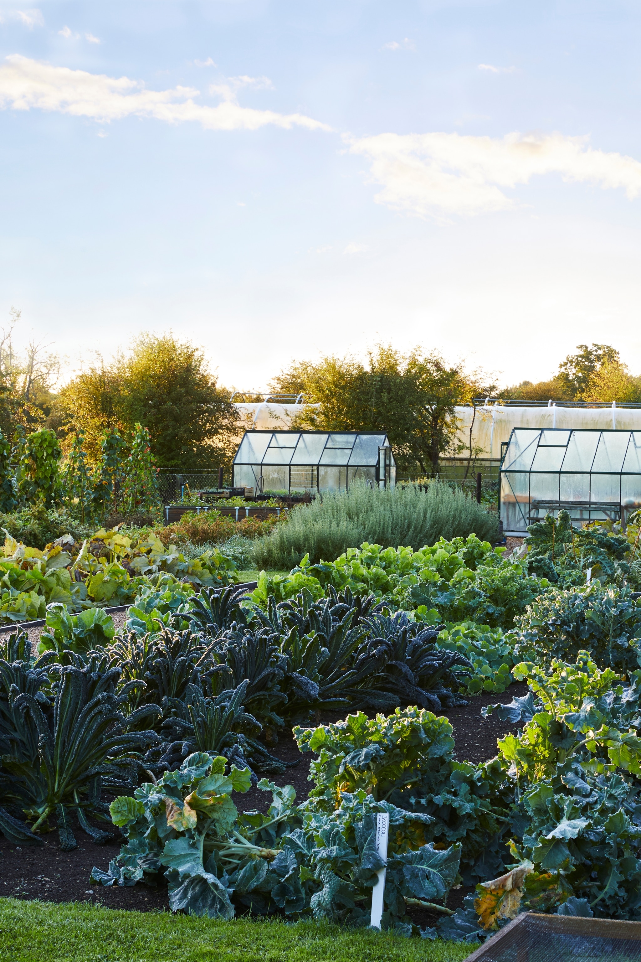 garden with greenhouses