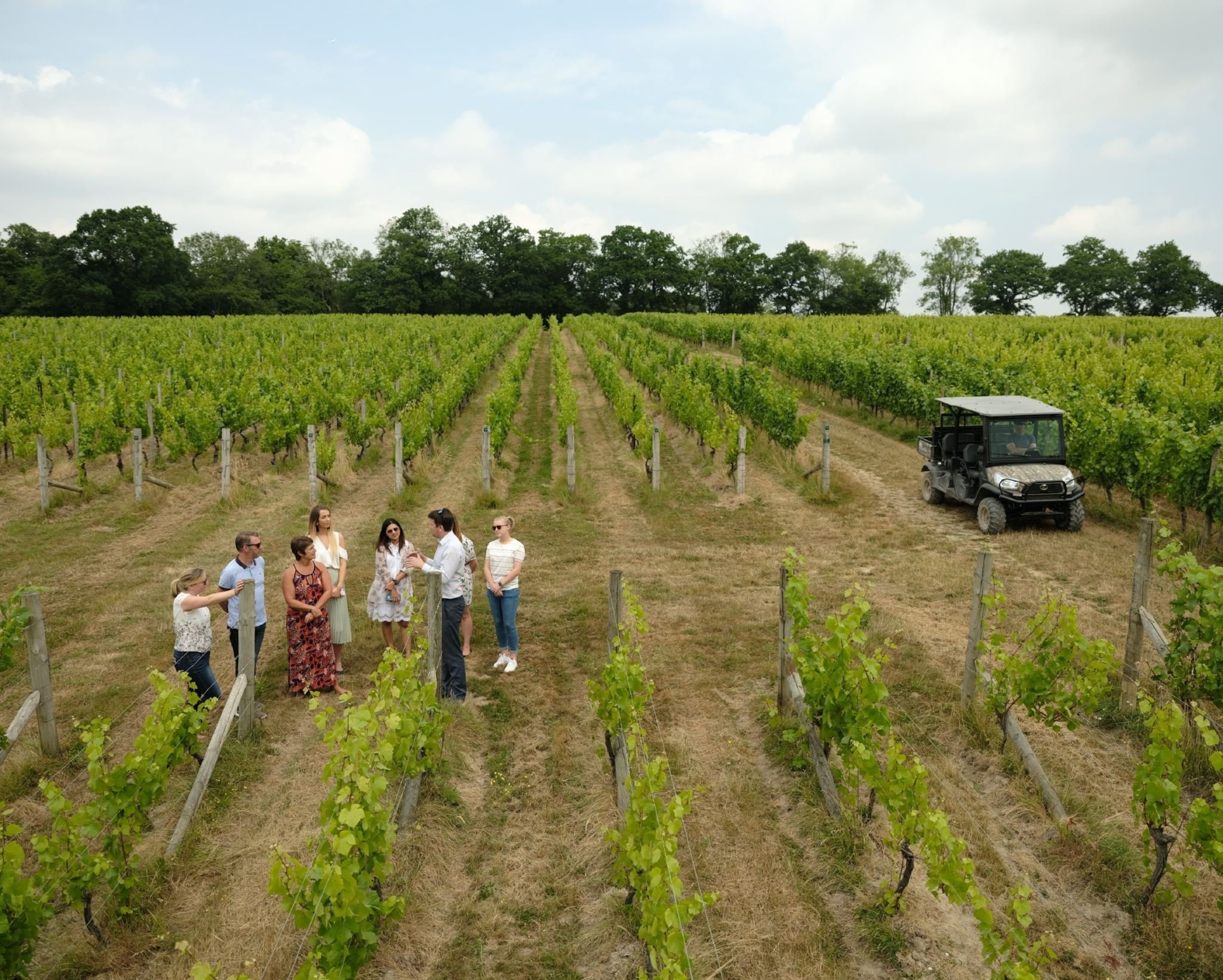 a tour of an English vineyard
