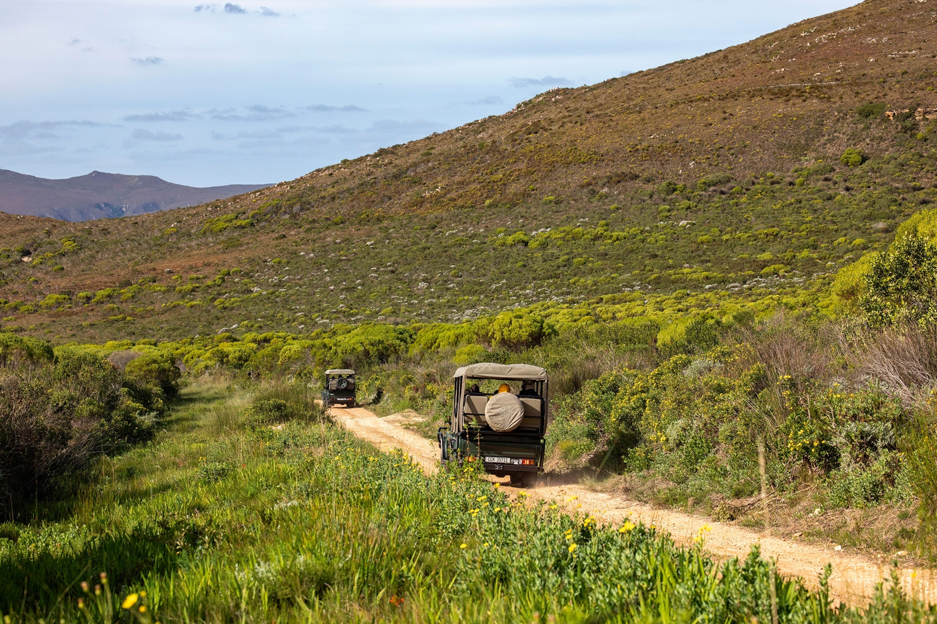 Jeep driving on dirt paths through a nature reserve