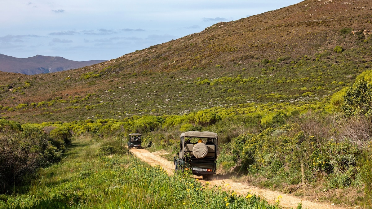 The 4 best safari trips that support local communities
