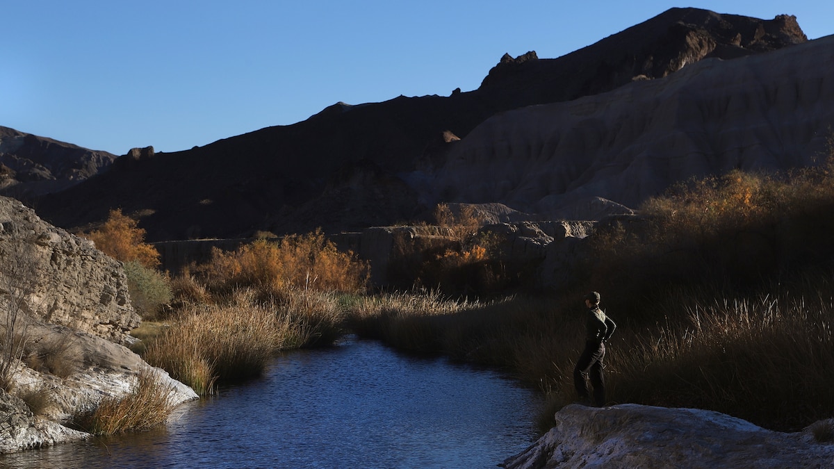 Life on the Amargosa—a desert river faced with drought - Vimarsana News