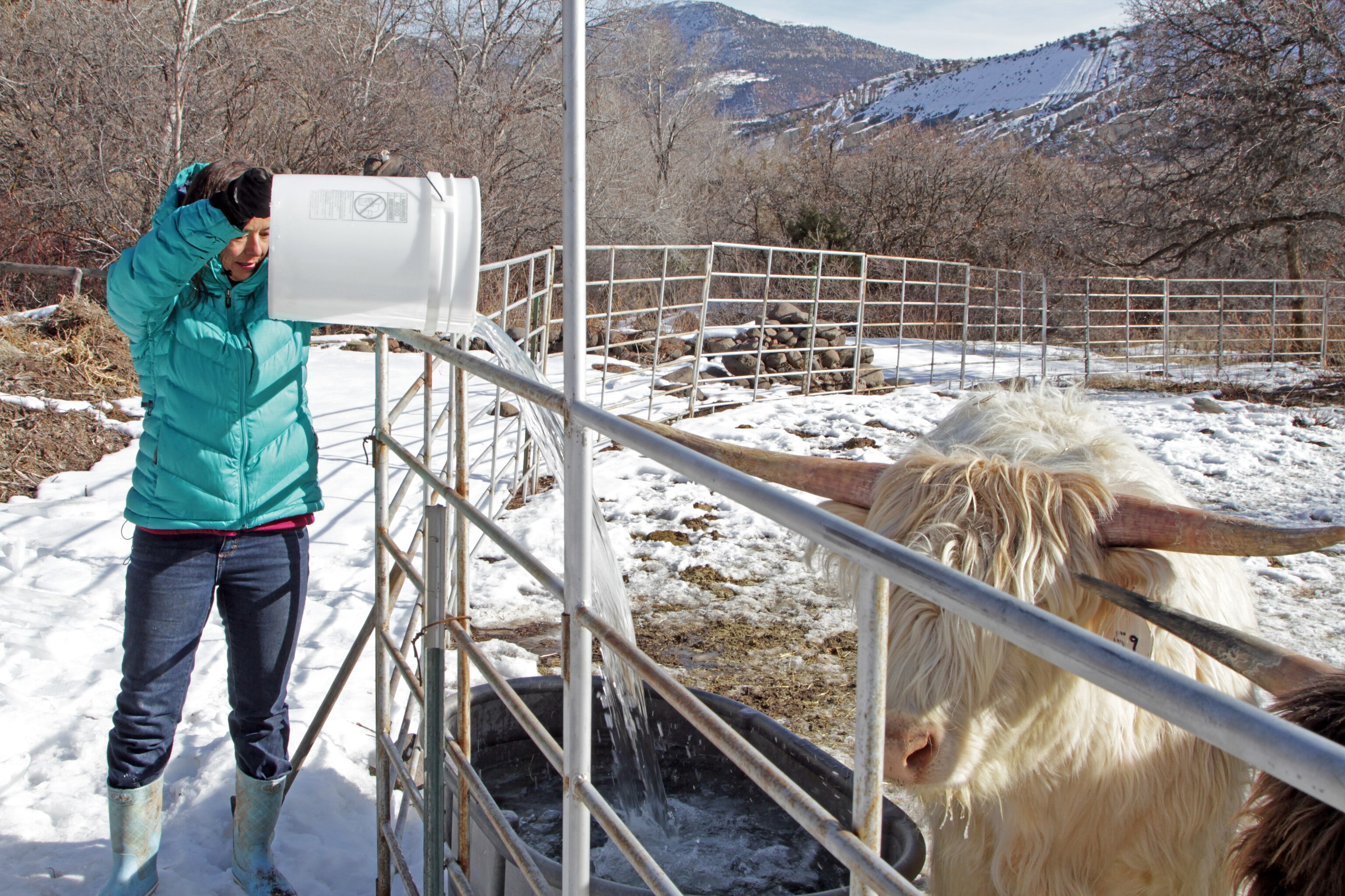 Alison Gannett, A MoveShake