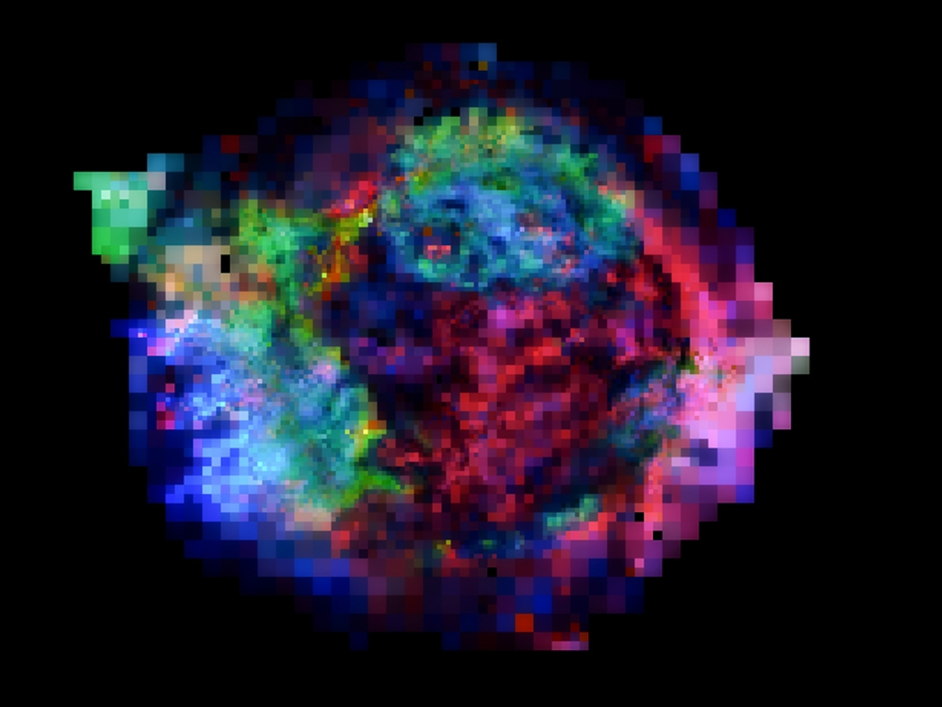 Supernova picture: x-ray image of Cassiopeia A